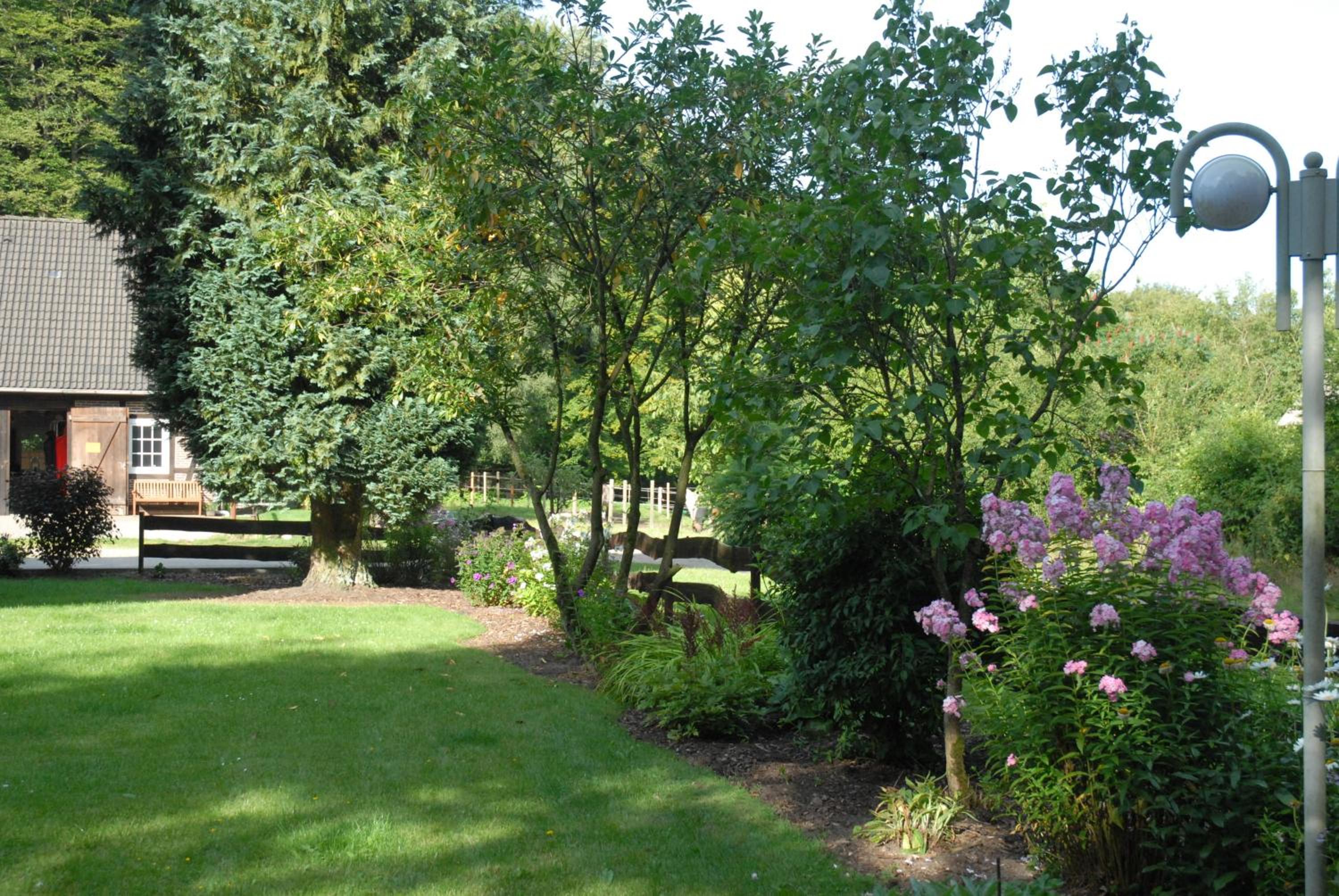 Barock Hengst Hof