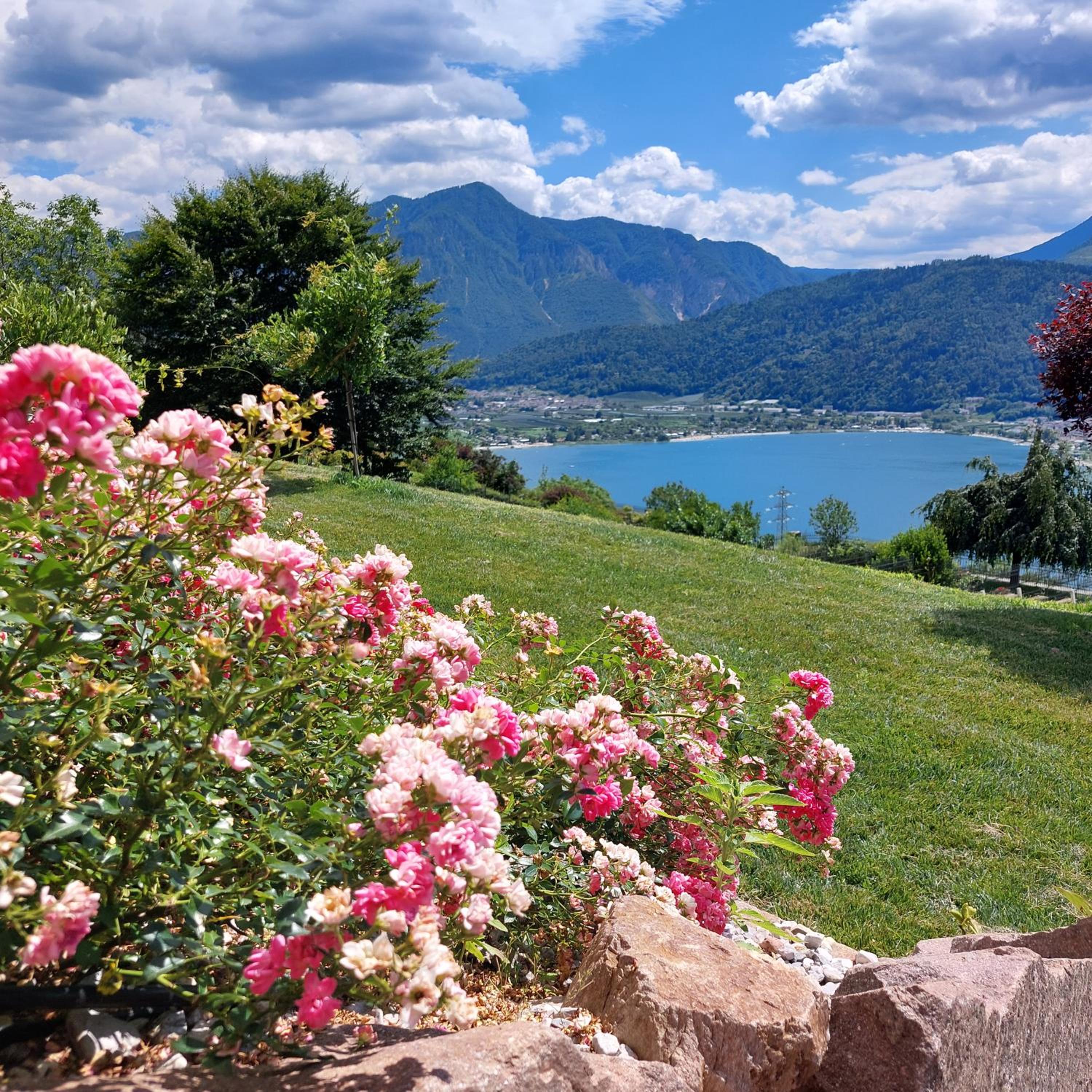 AGRITUR SEDICI - Bed and Breakfast photo 4