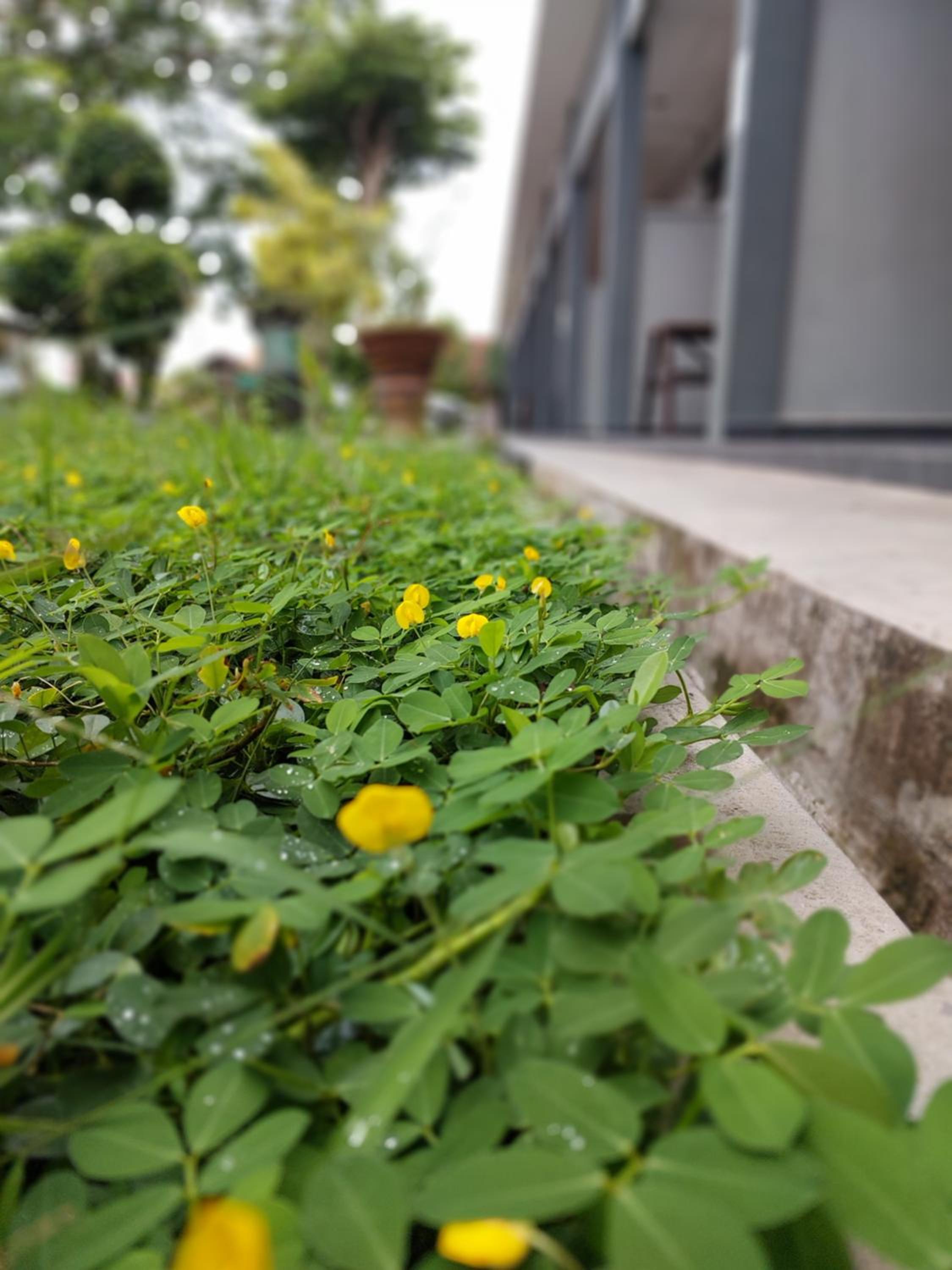 Photo 36