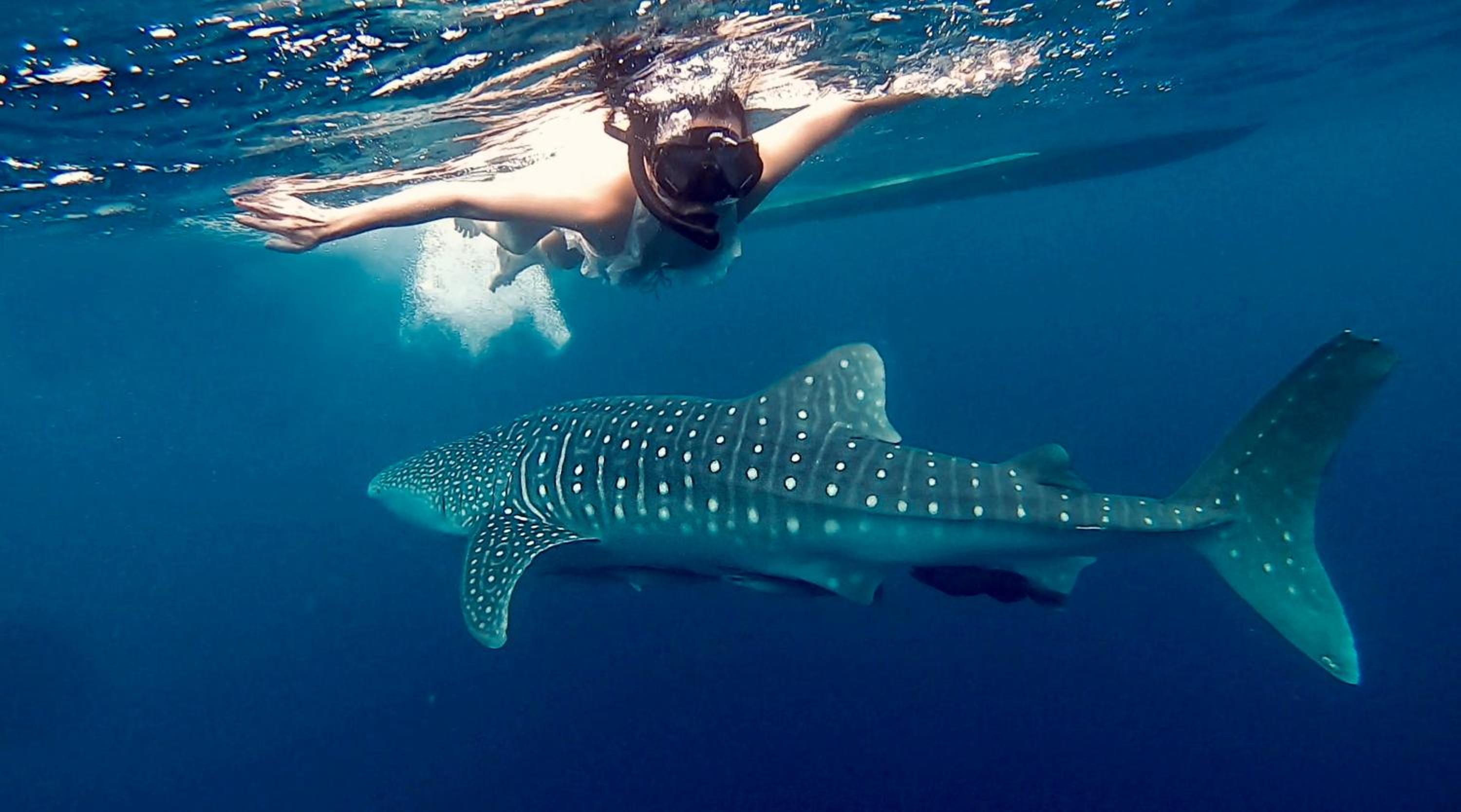 Arasatu Villas & Sanctuary view 5