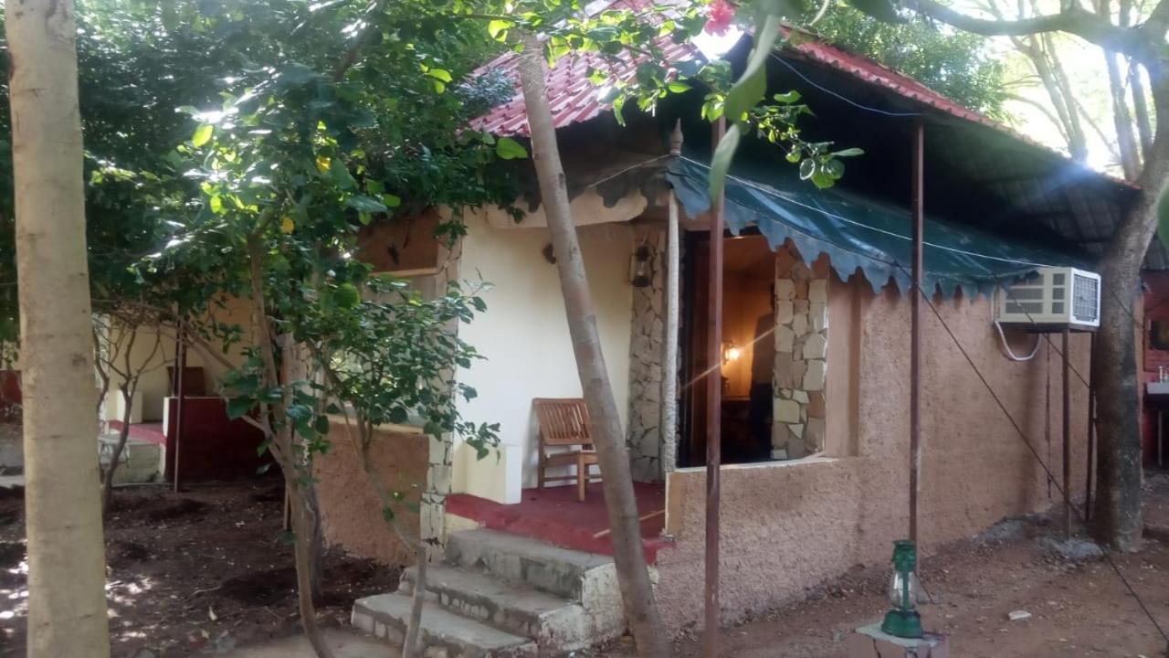 Greetoe Camp Panna