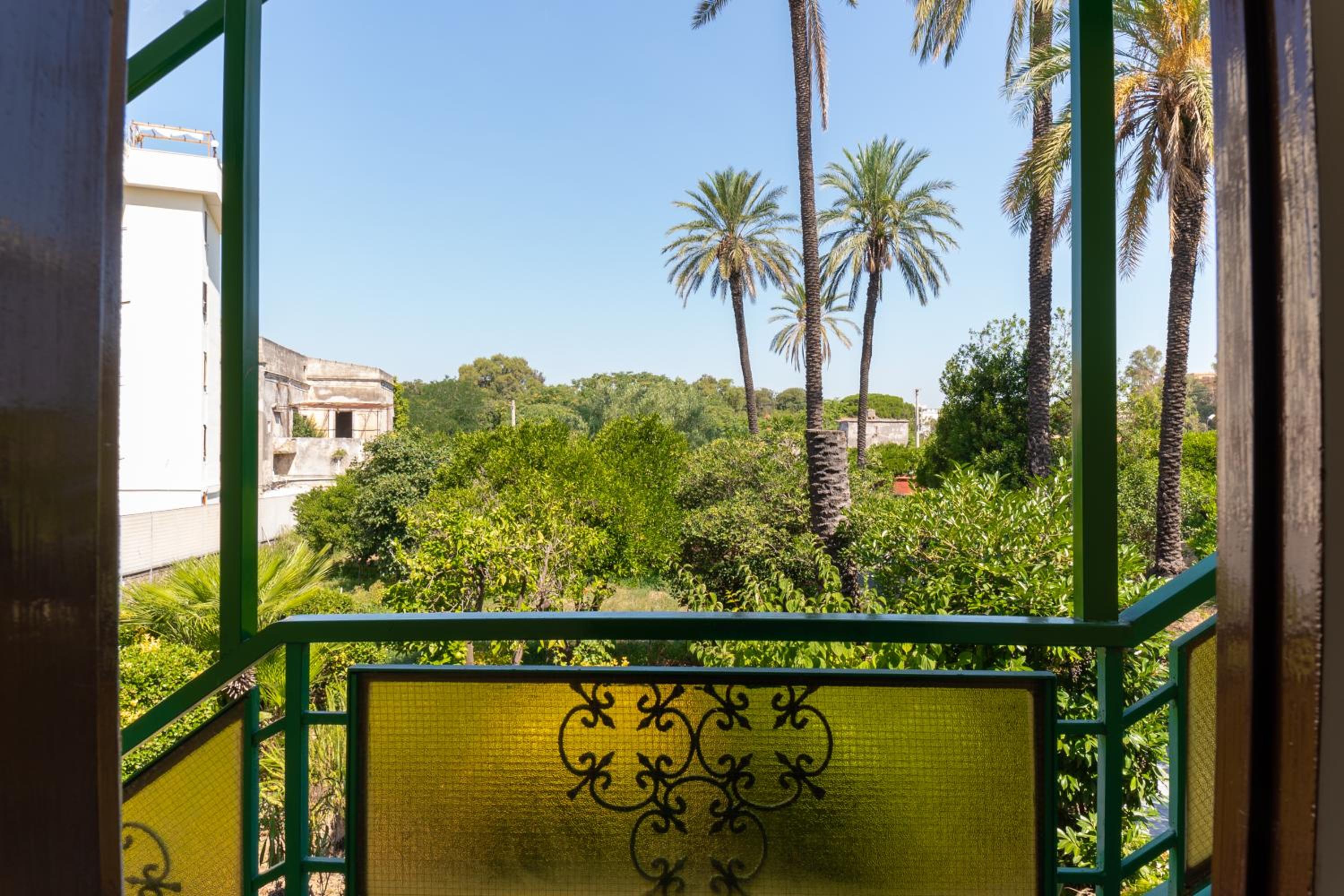 Alle 6 palme view 5