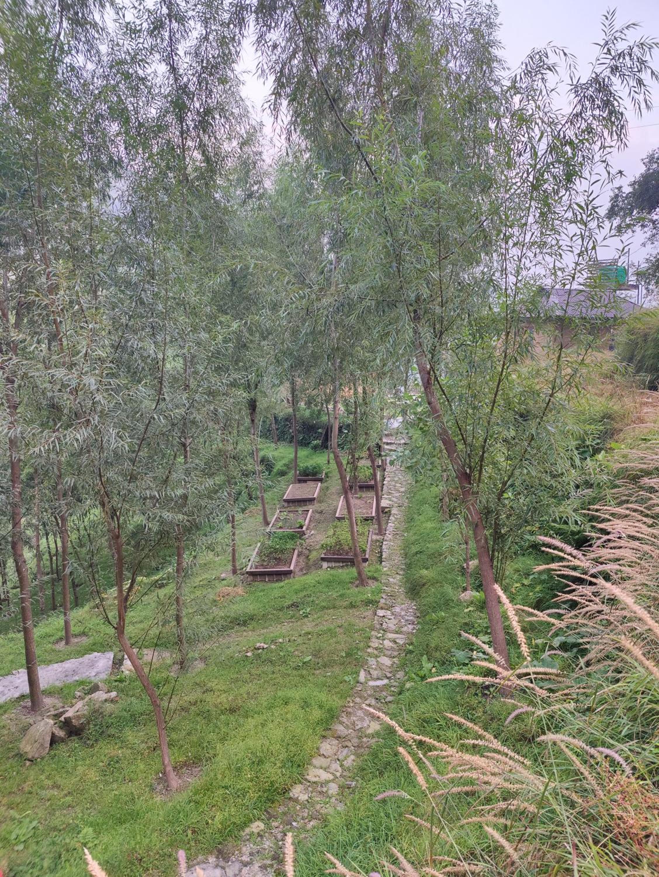 Photo 34