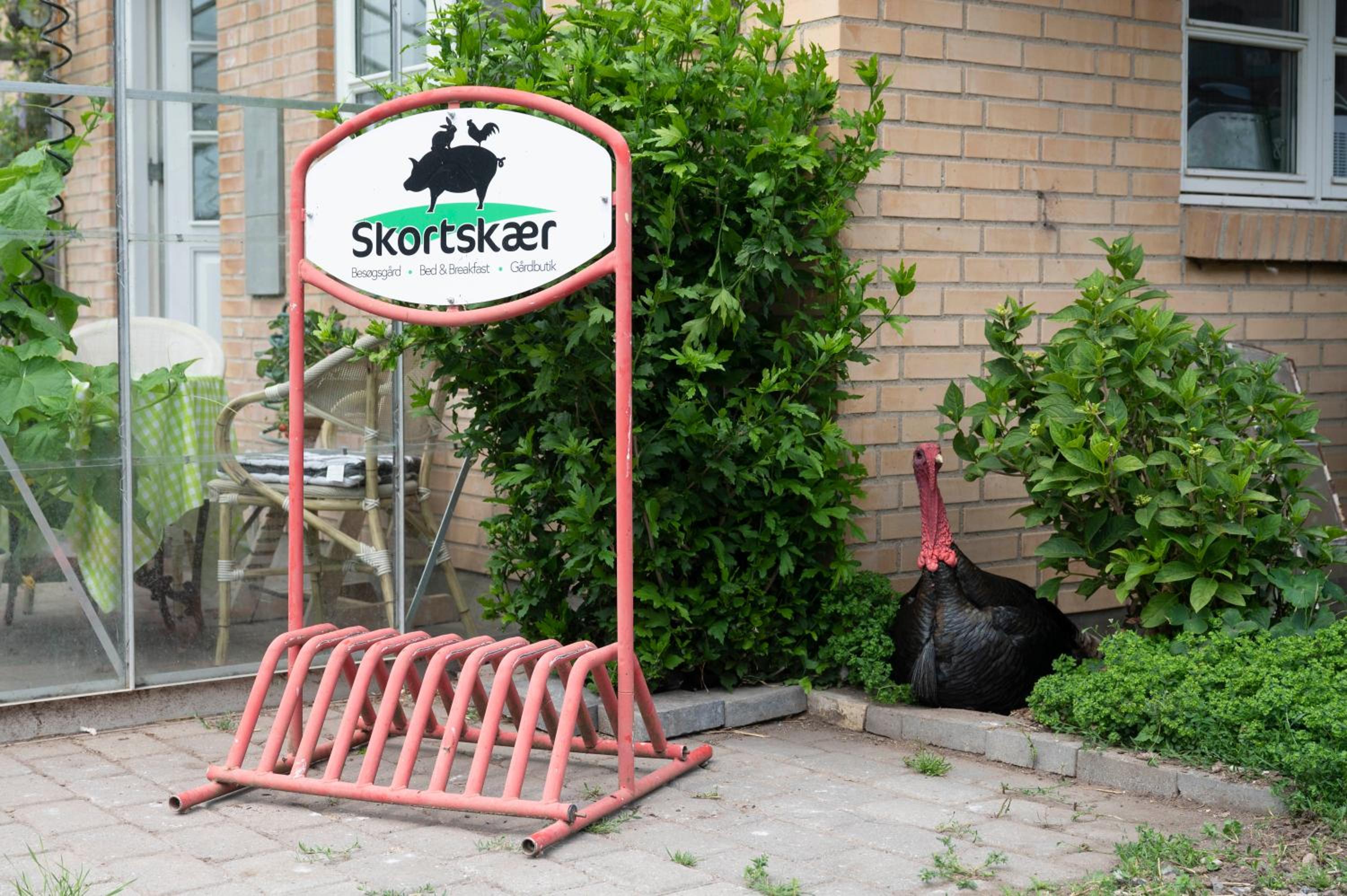 Skortskær Bondegårdsferie