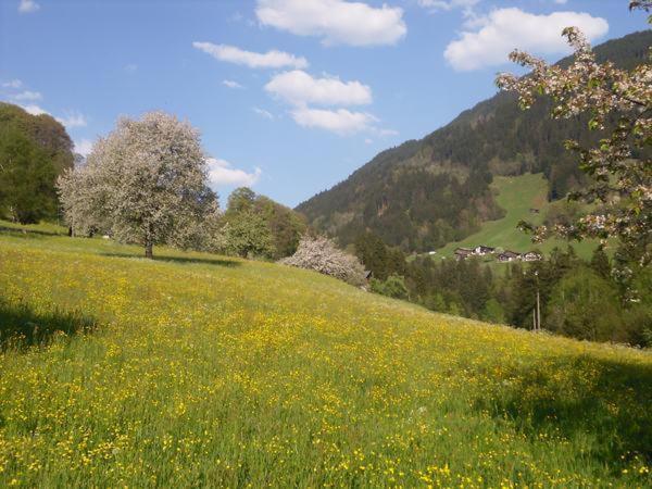 Ferienwohnung Montjola view 2