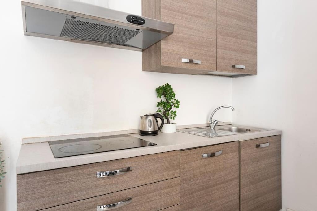 Apartments Florence-4 bedroom in Pellicceria (sx)
