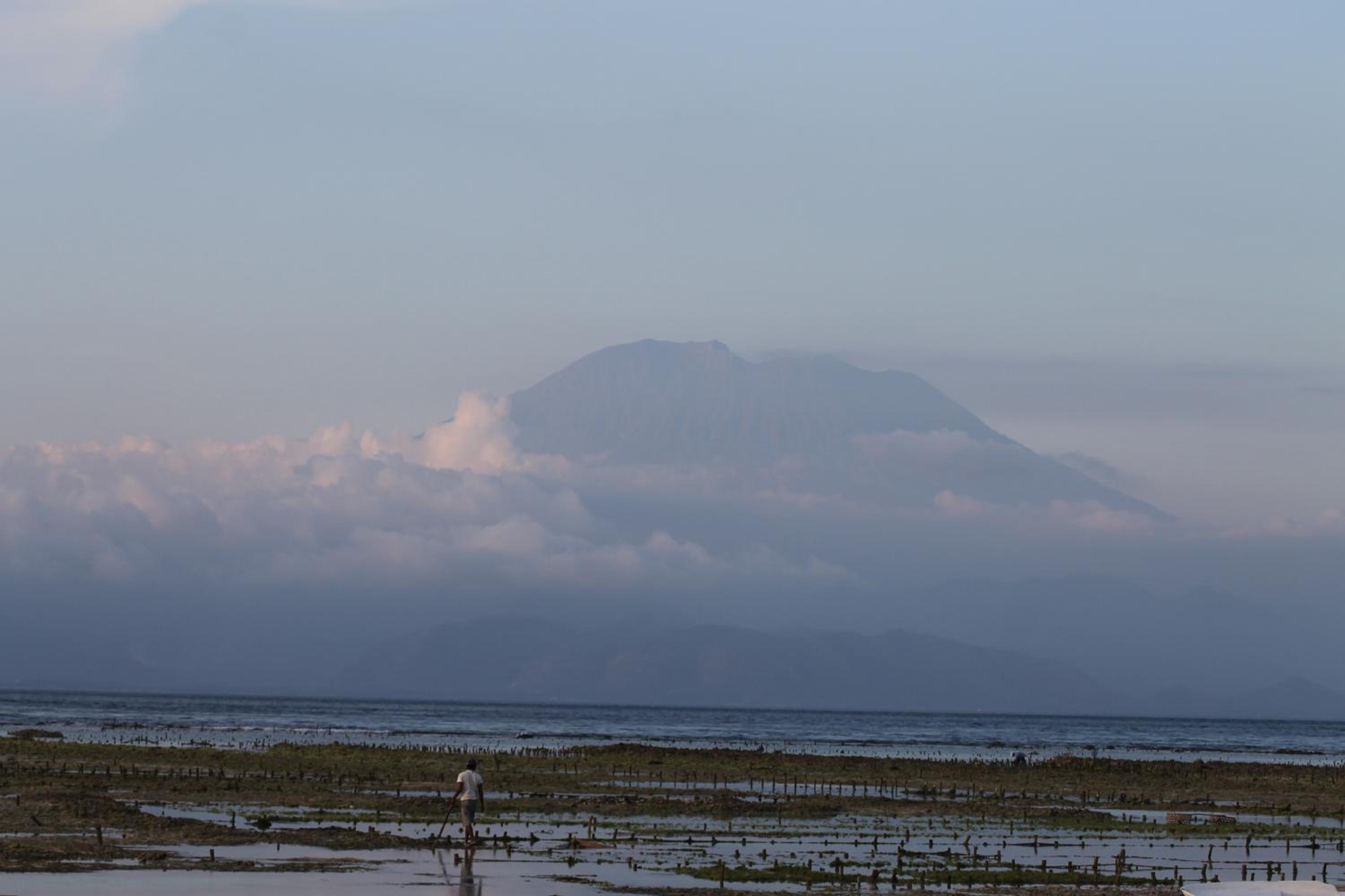 Nyoman Guesthouse and Grill