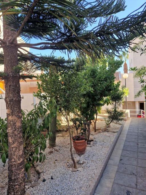 Magnifico chalet adosado en Torrevieja, Alicante.