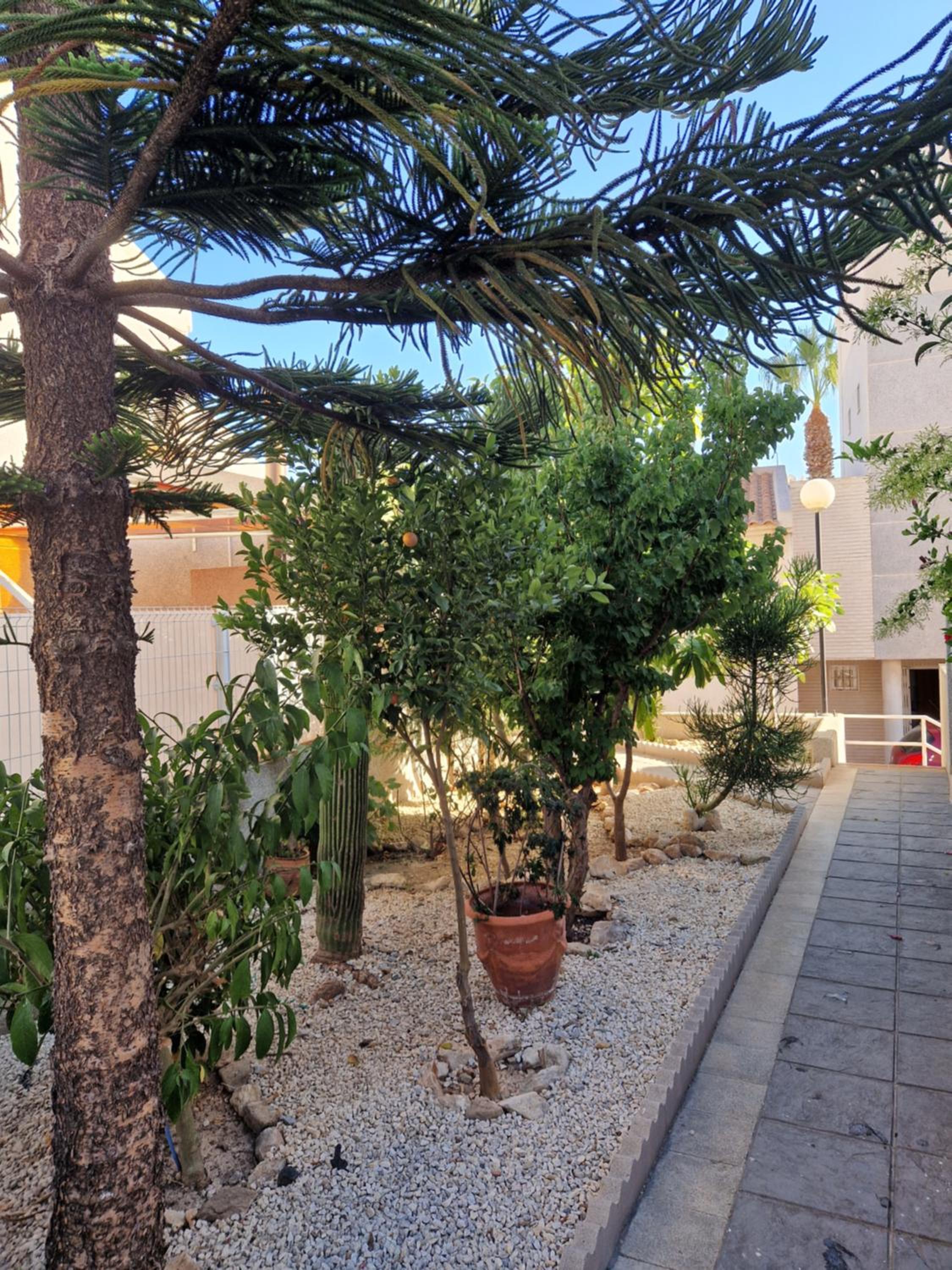 Magnifico chalet adosado en Torrevieja, Alicante.