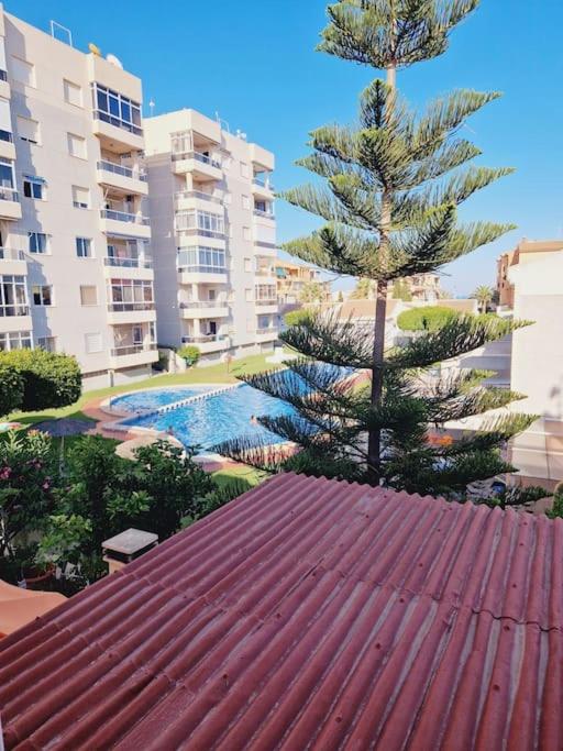 Magnifico chalet adosado en Torrevieja, Alicante.