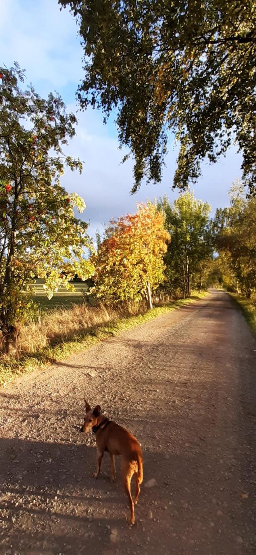 Photo 40