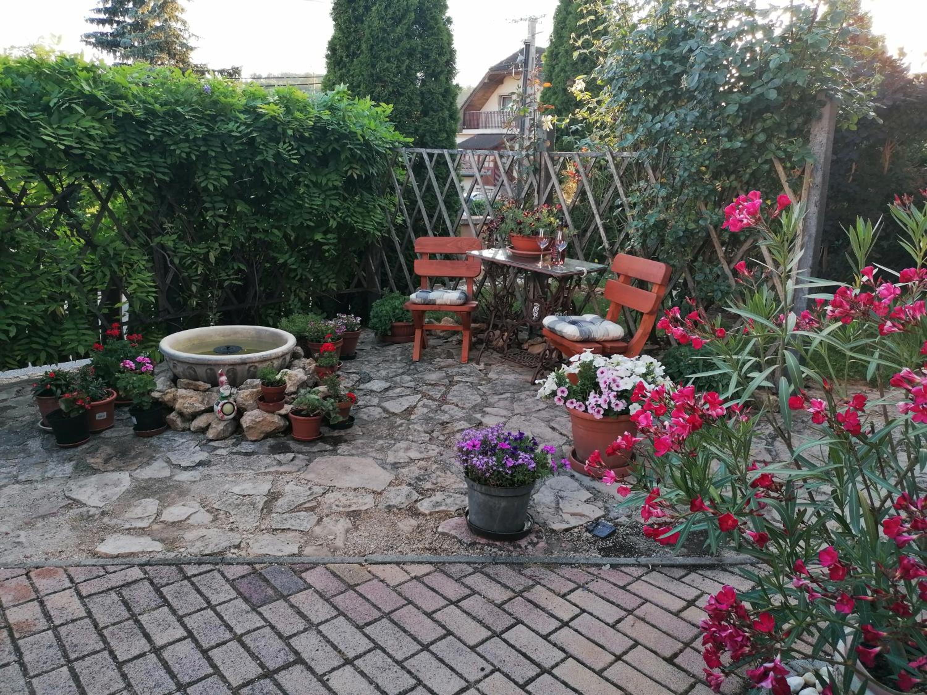 Photo 16