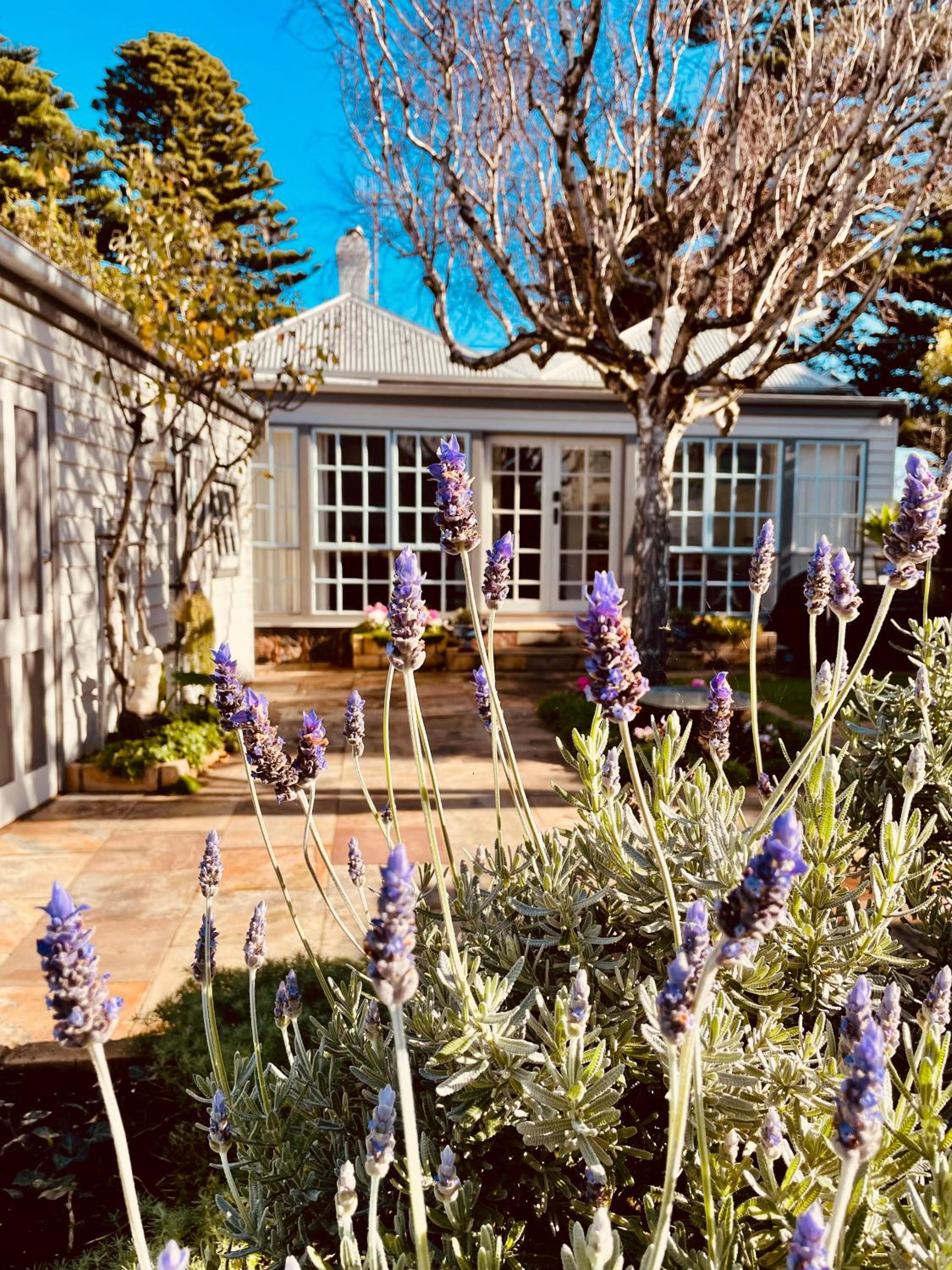 Edge17 Waterfront Apartment, plus Cottage with Garden View - Port Fairy
