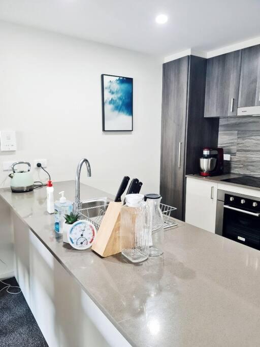 Entire apartment with lake view