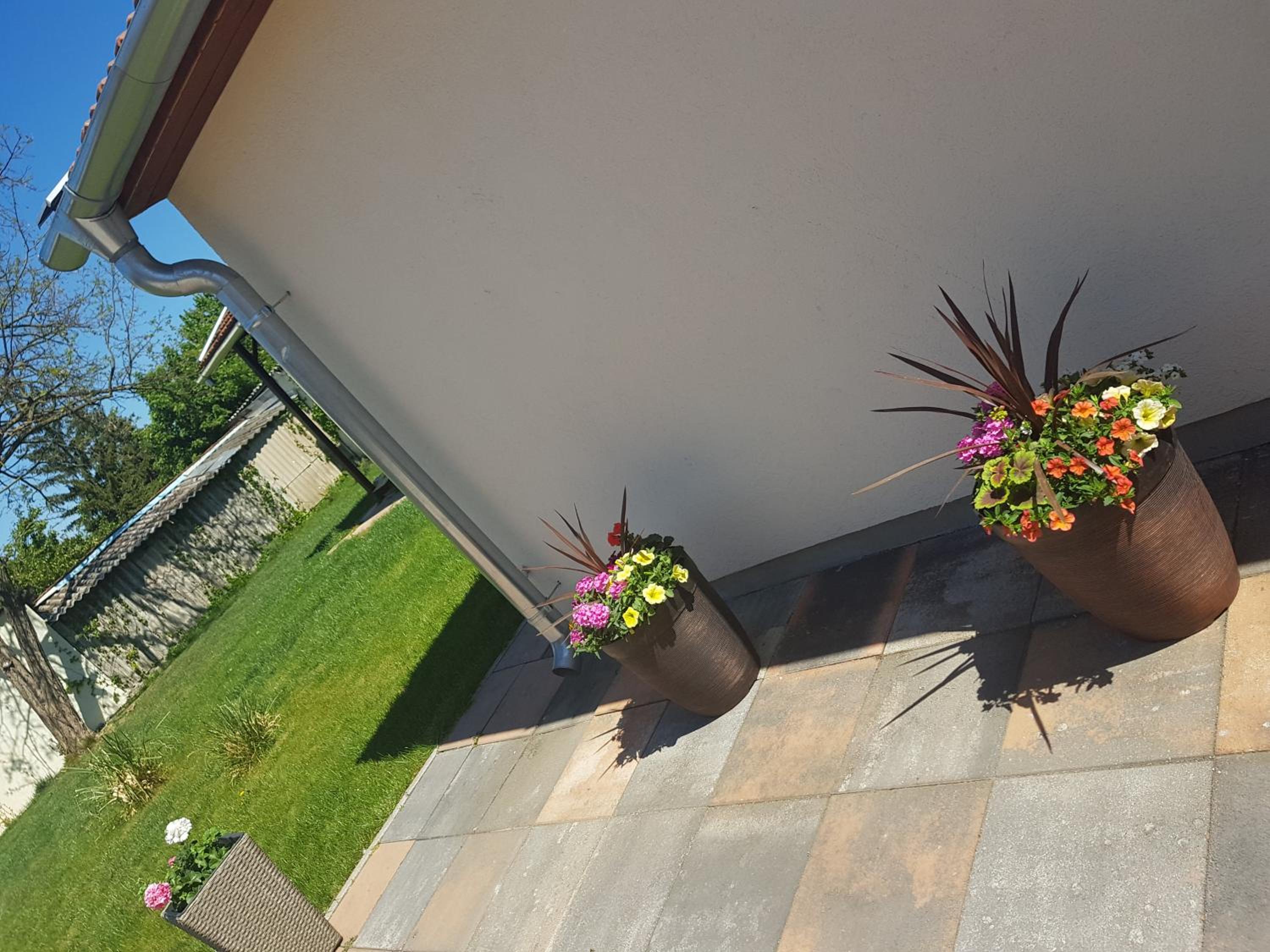 Lilien Deluxe view 5
