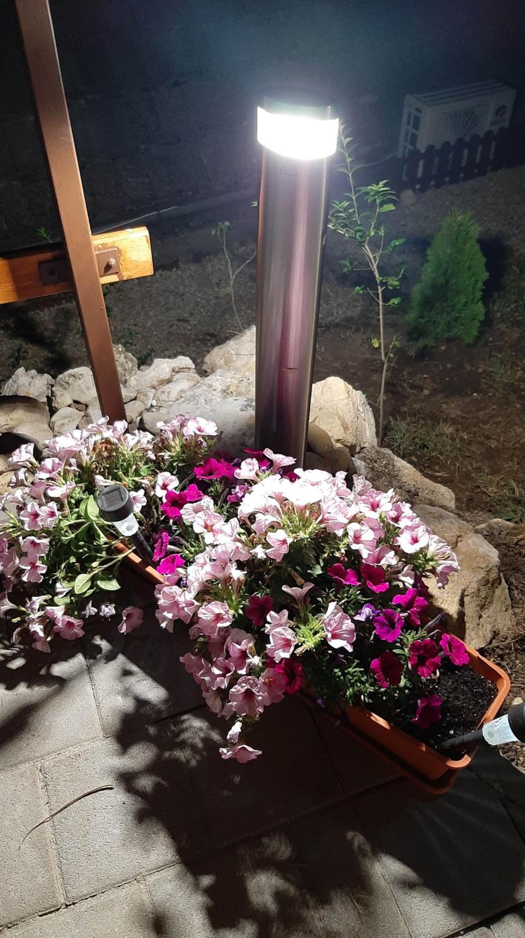 Photo 35