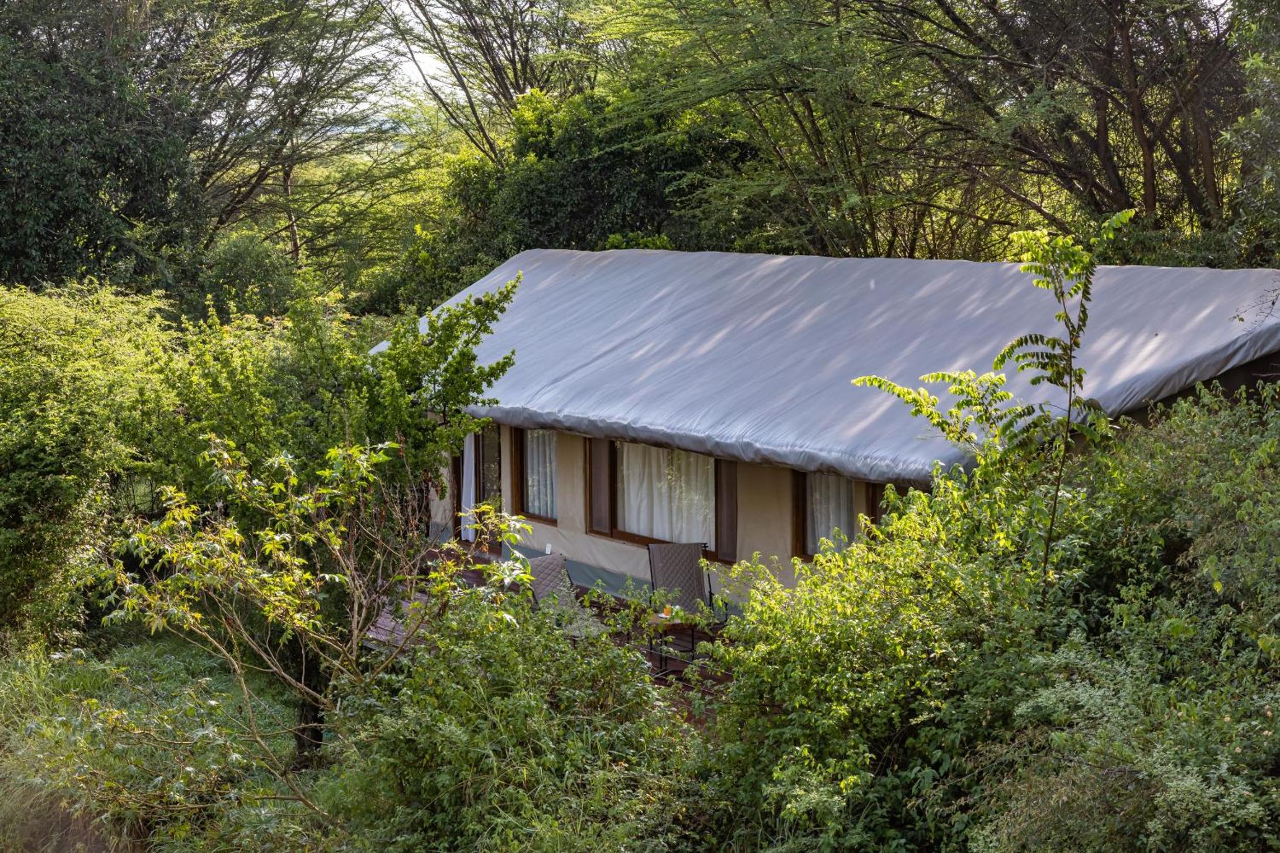 Photo 73