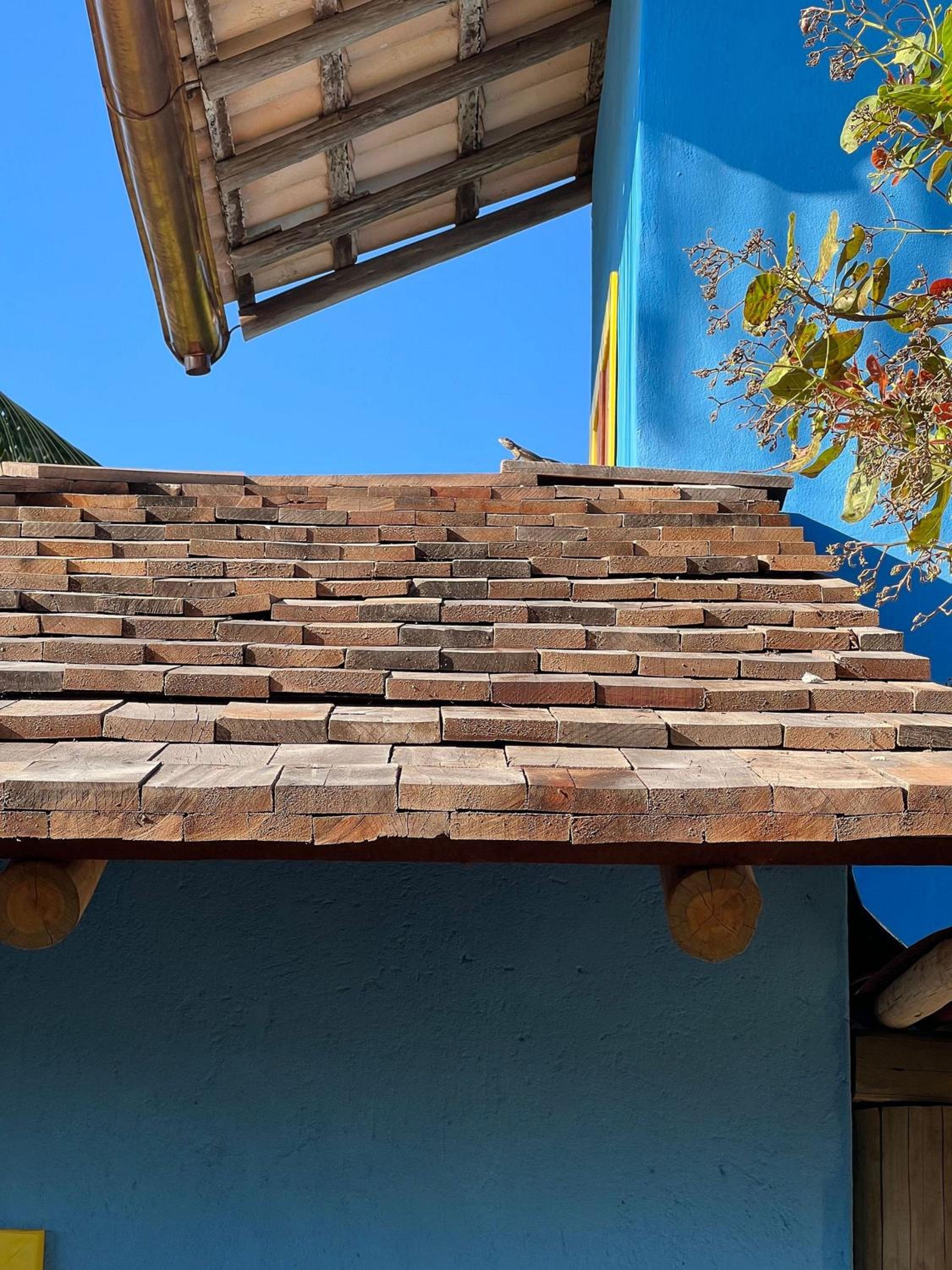 VILA IJEXÁ casas e bangalôs CARAÍVA BA