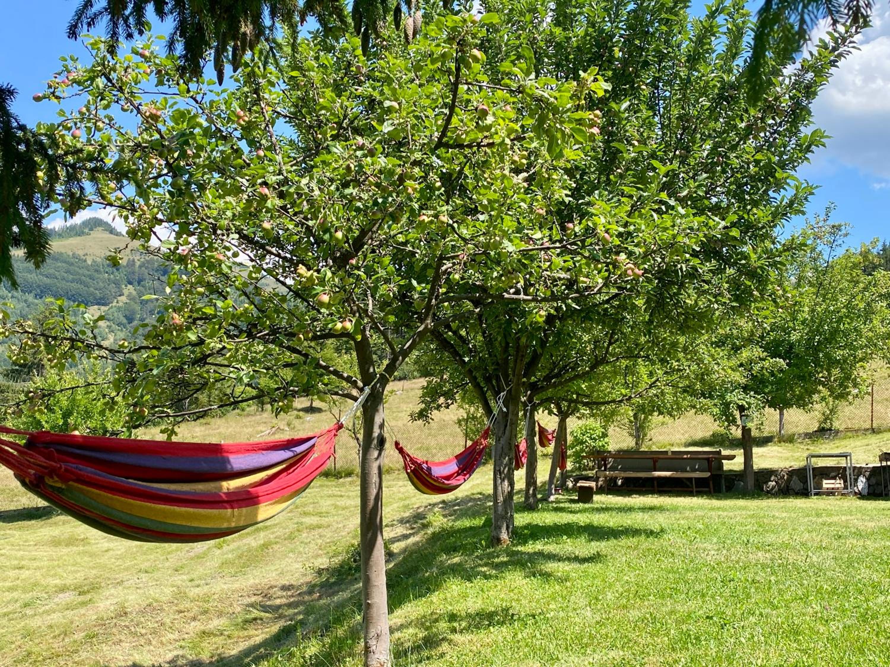 Cabana Zuz