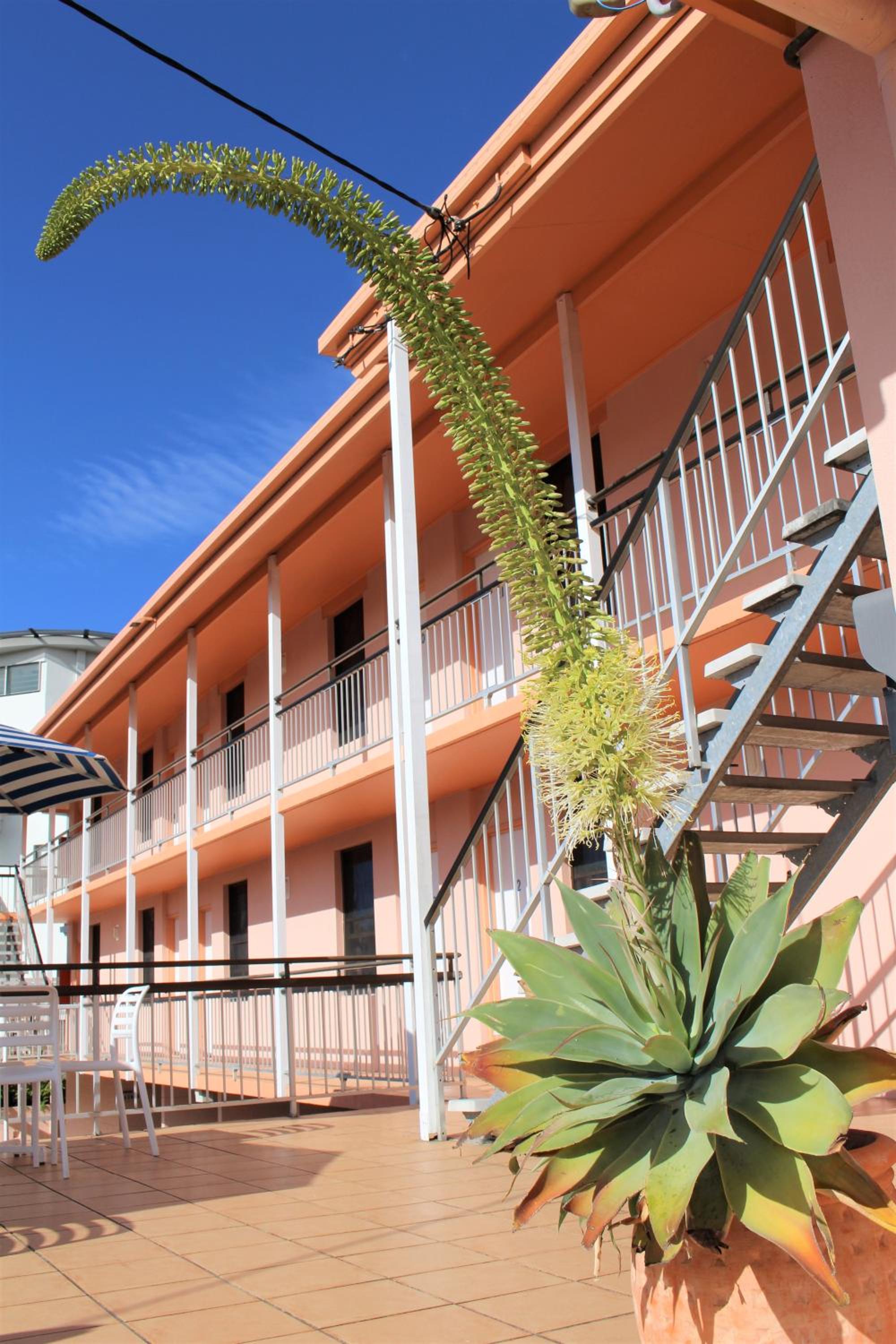 Camden Motor Inn - Image 3
