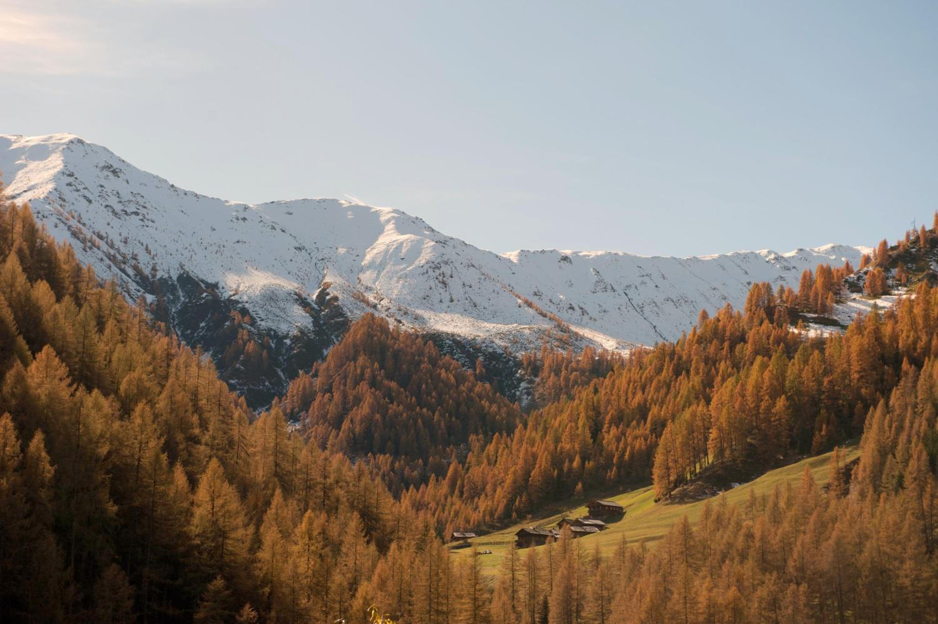 Giatla Hof der Alfenalm - Ferienwohnungen am Berg