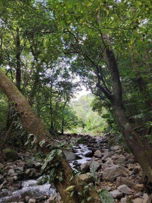 Cacique Casa surrounded by nature and gardens