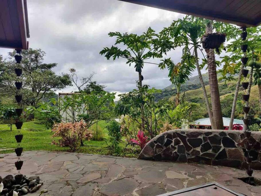 Cacique Casa surrounded by nature and gardens