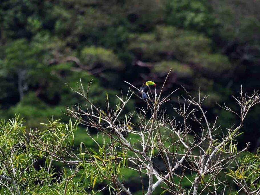 Cacique Casa surrounded by nature and gardens