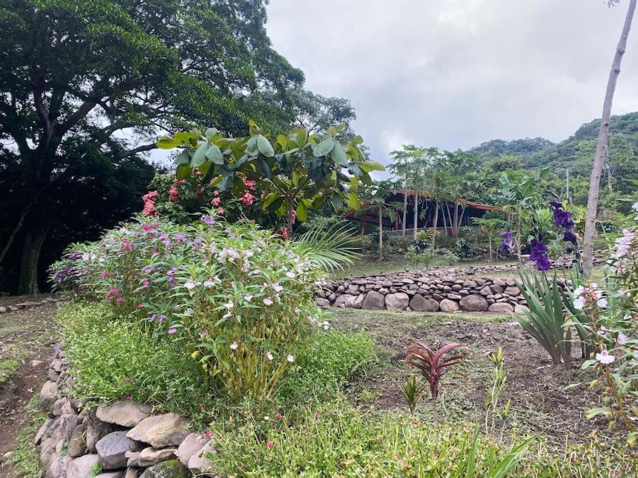Cacique Casa surrounded by nature and gardens