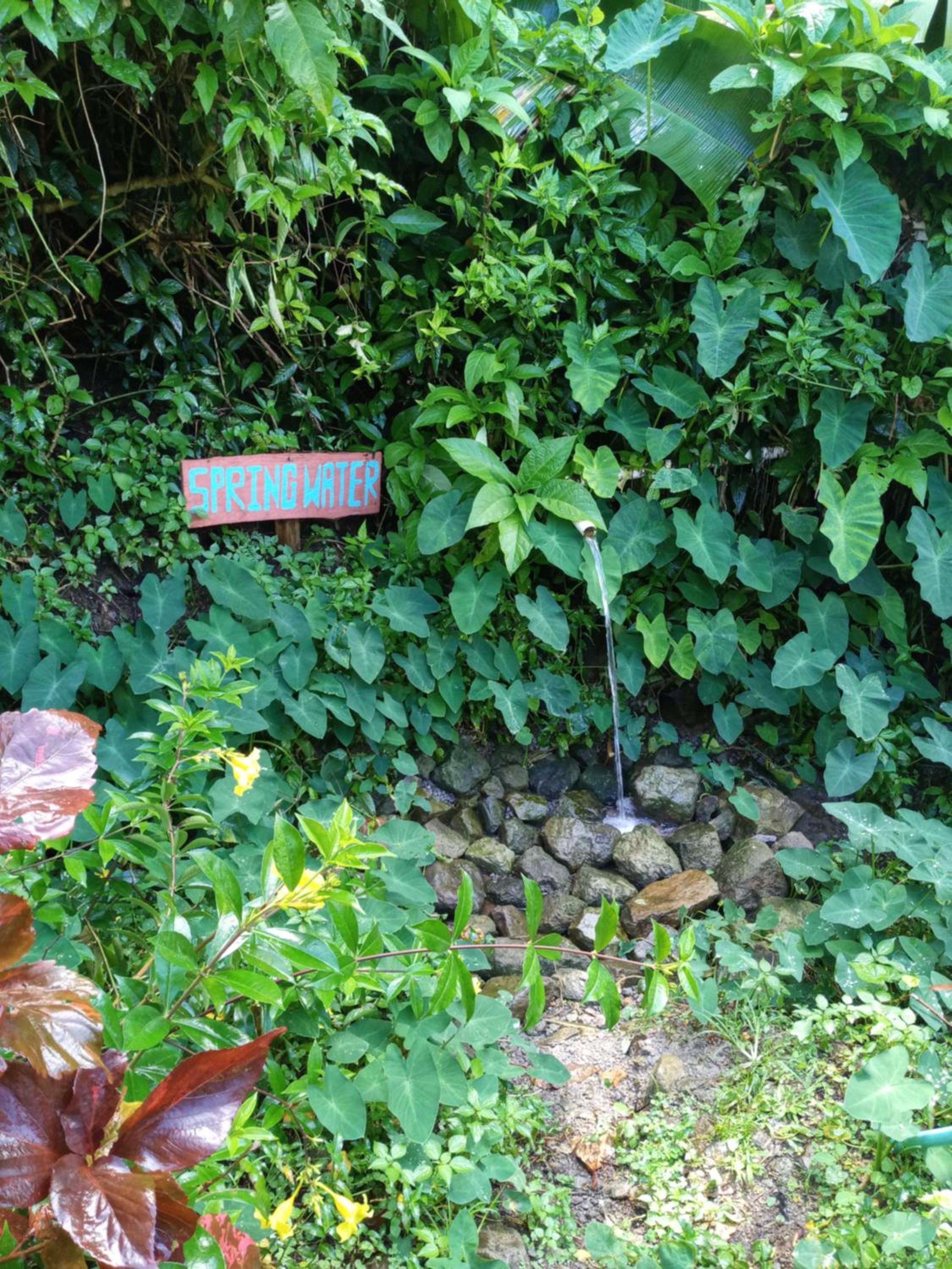 Photo 44
