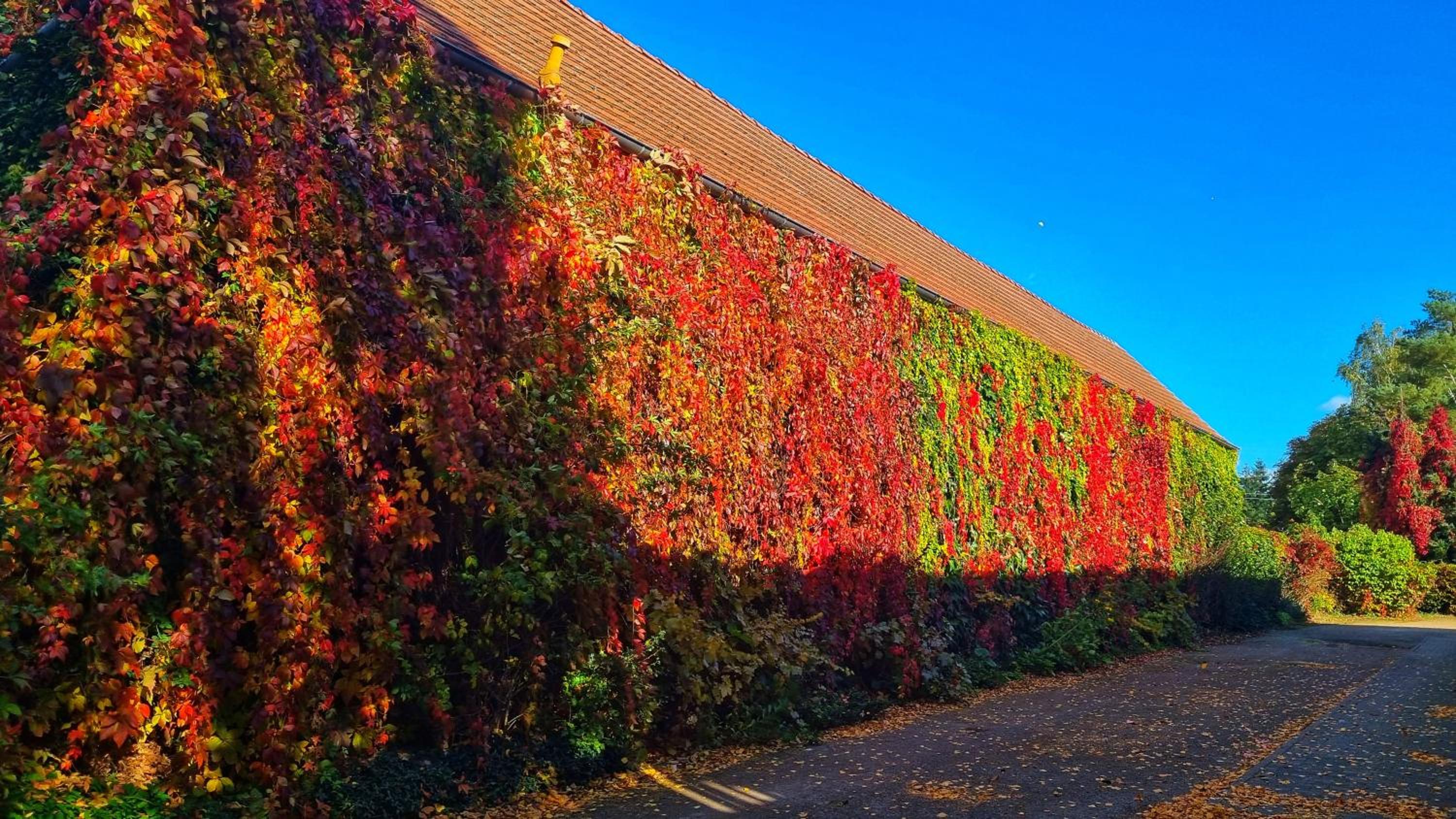 Landhaus Kyritz - Property Image 1