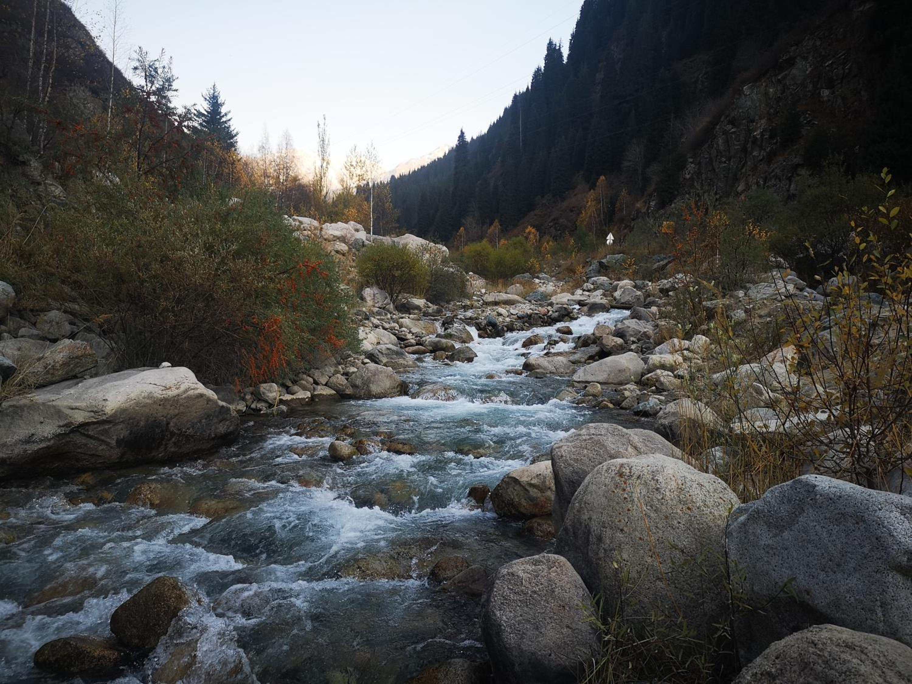 Photo 33