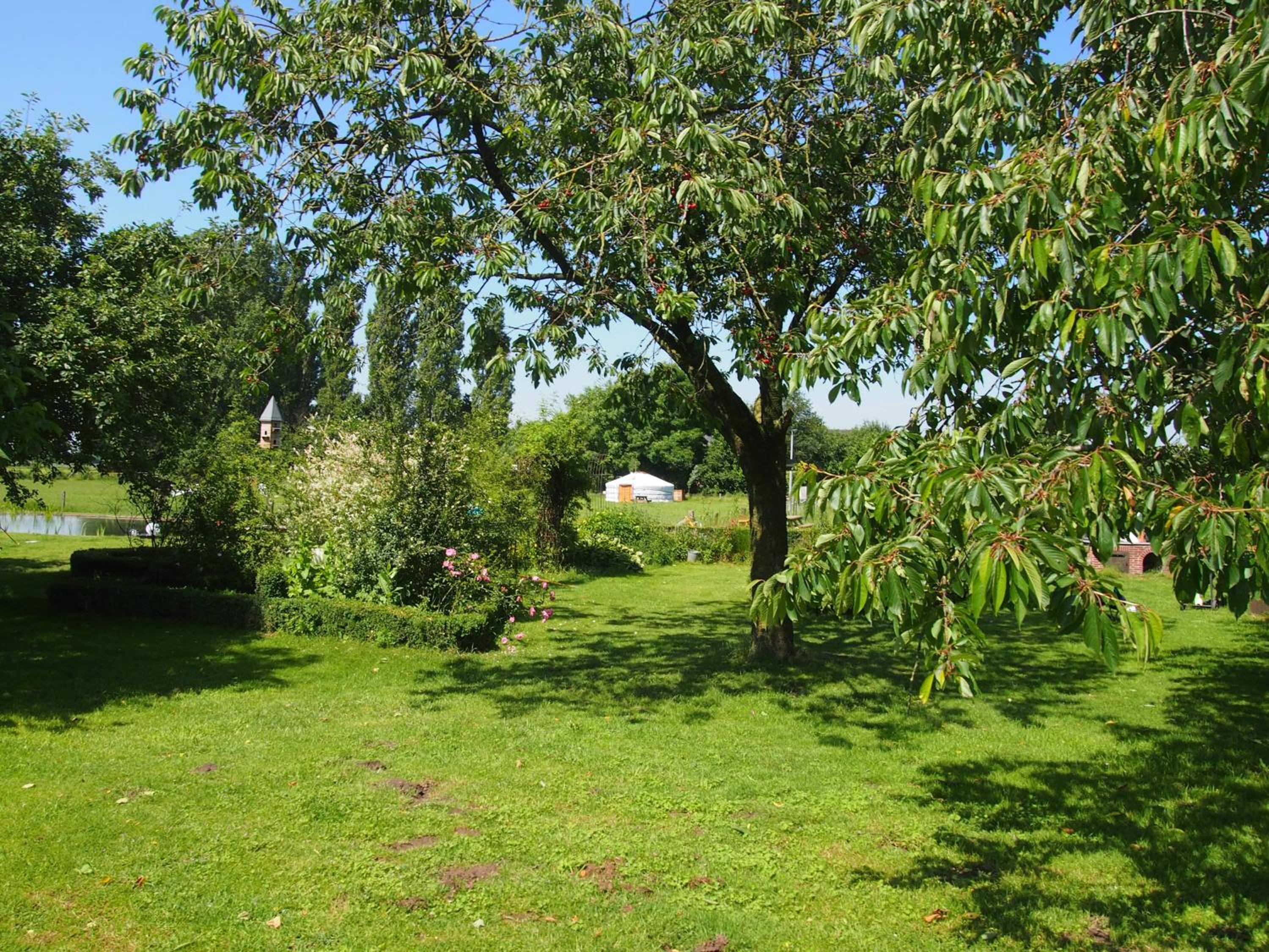Photo 6