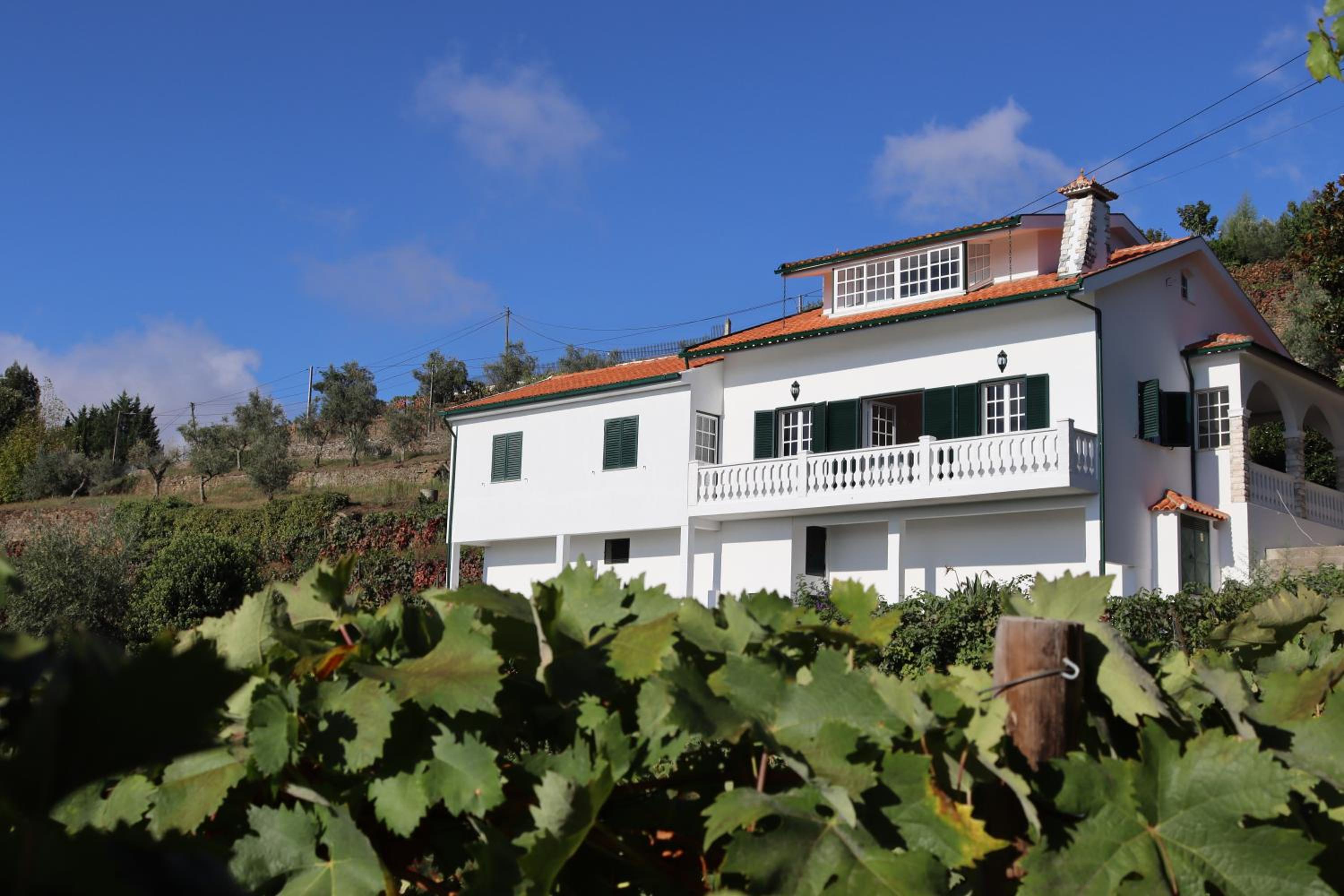 Villa Samaritana - Casa da Vinha view 4