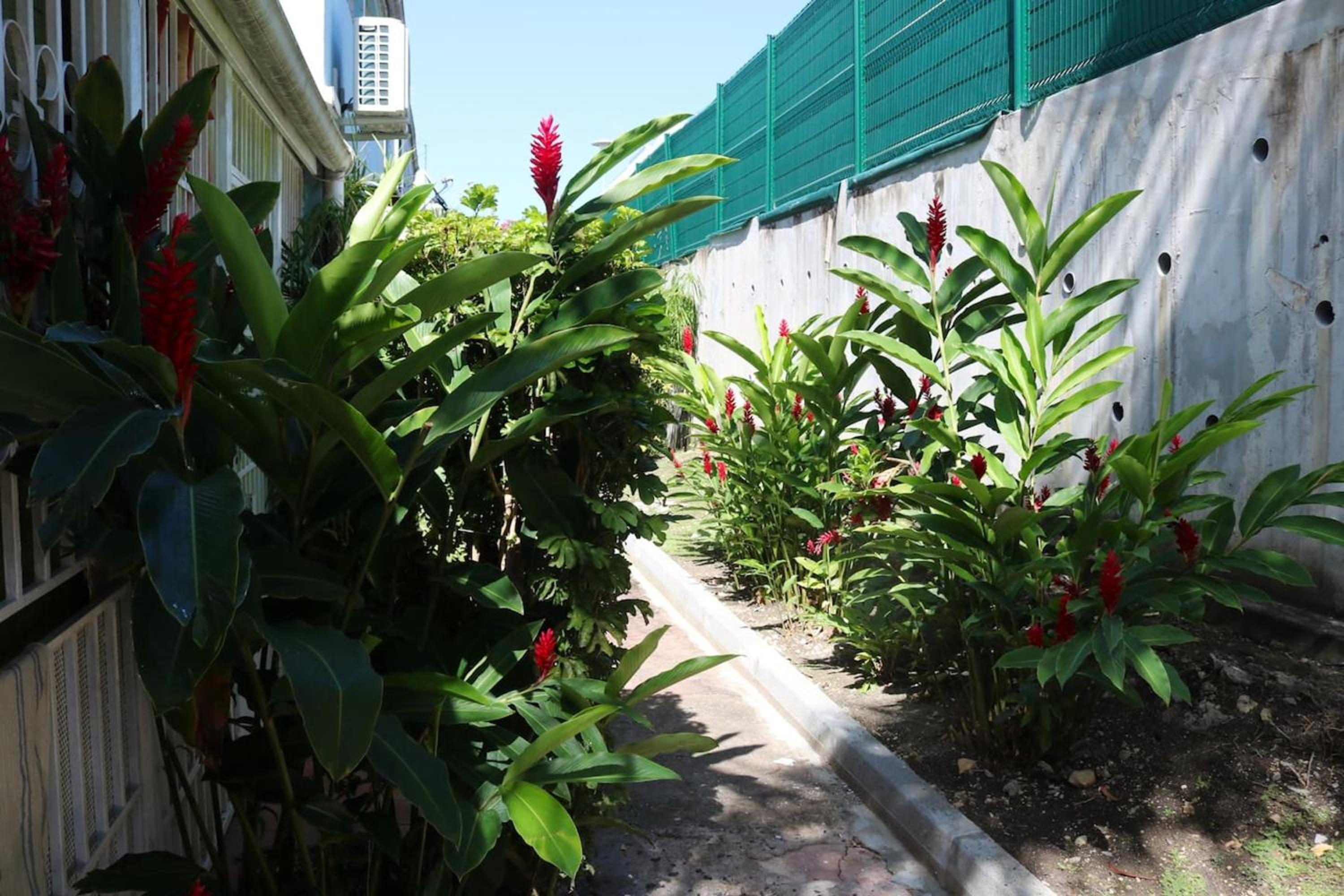 Photo 27