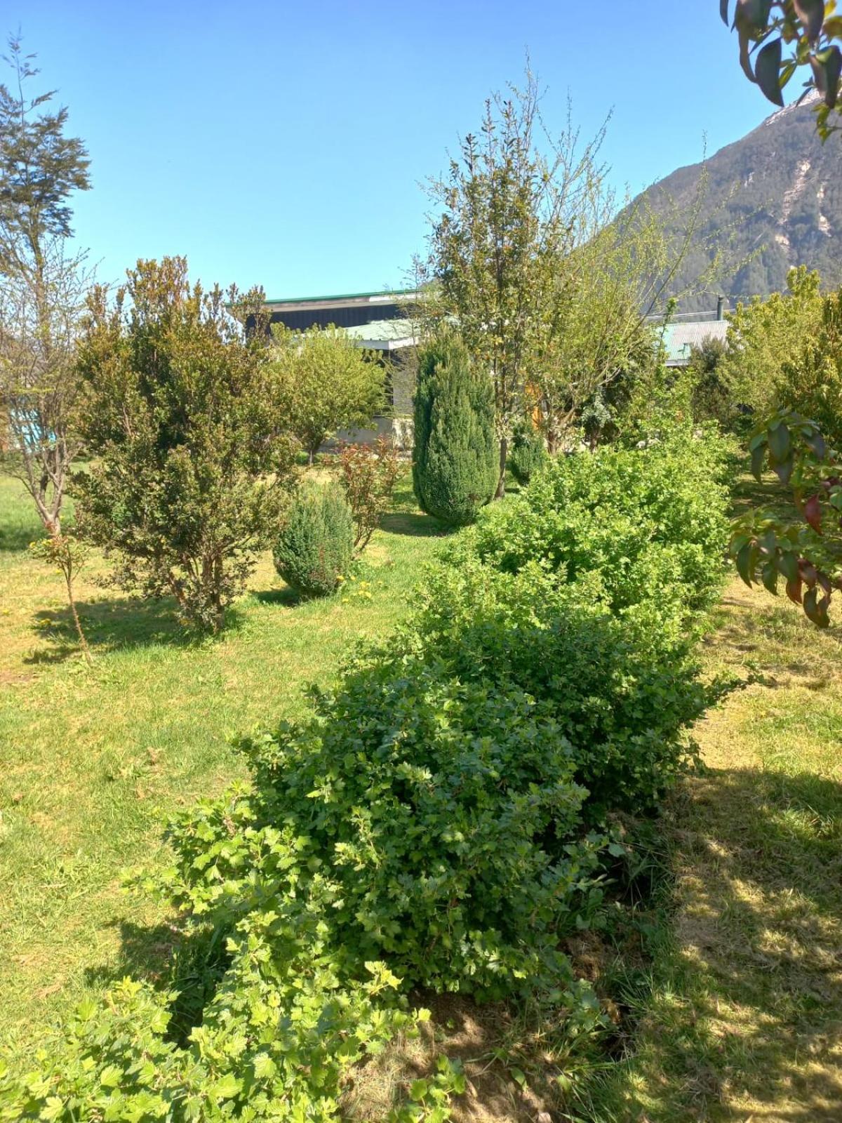 Photo 29