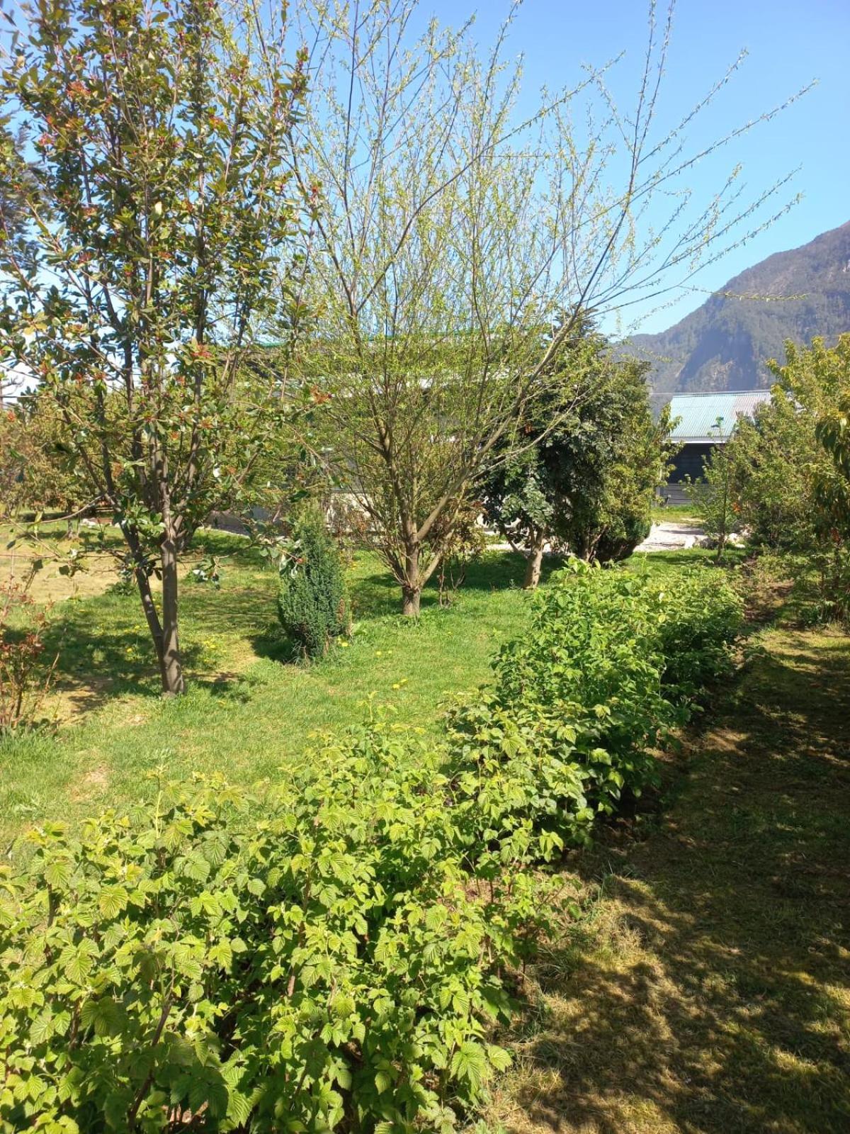 Photo 30