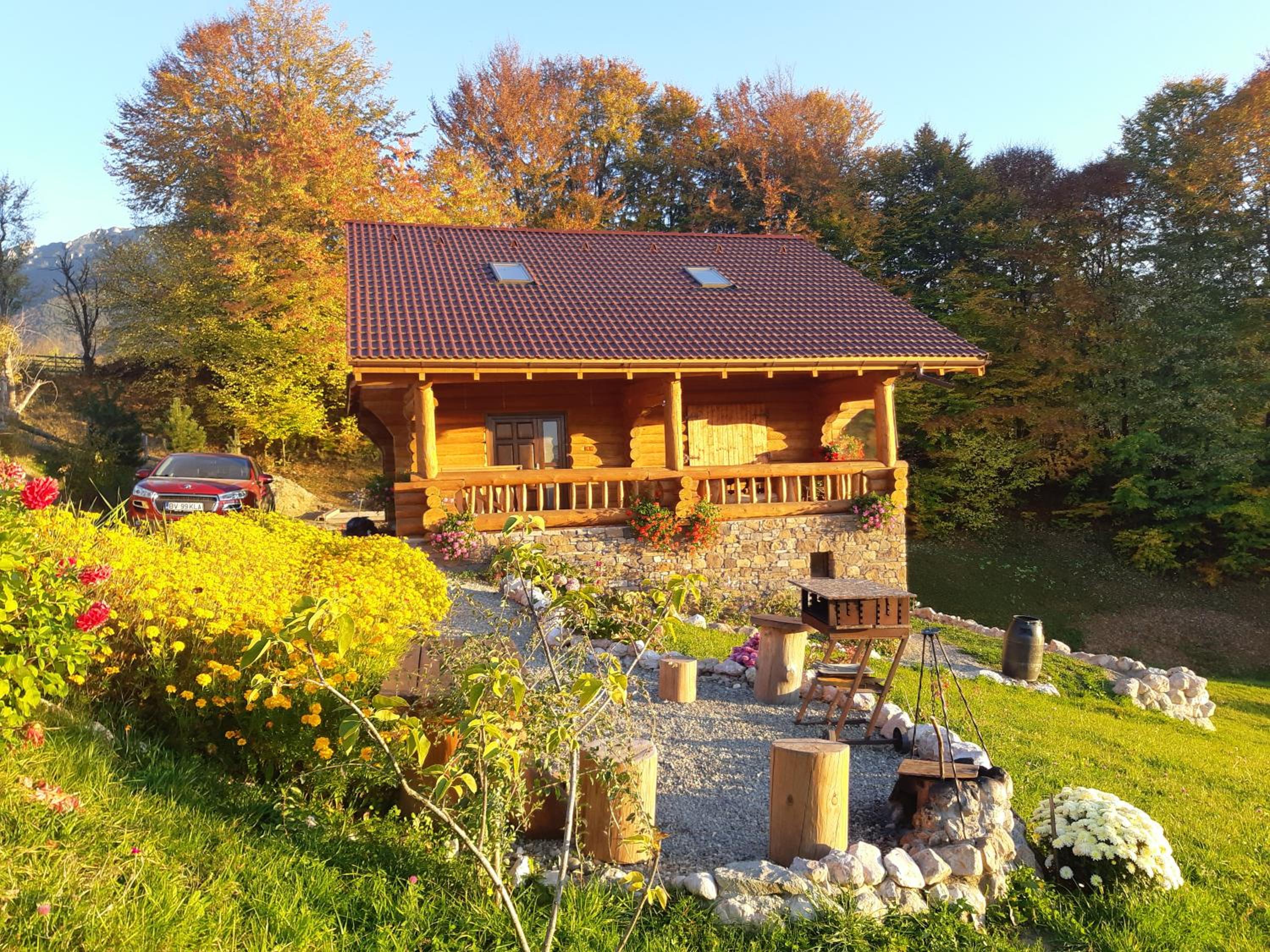 Cabana Adierea Vantului Bran view 3