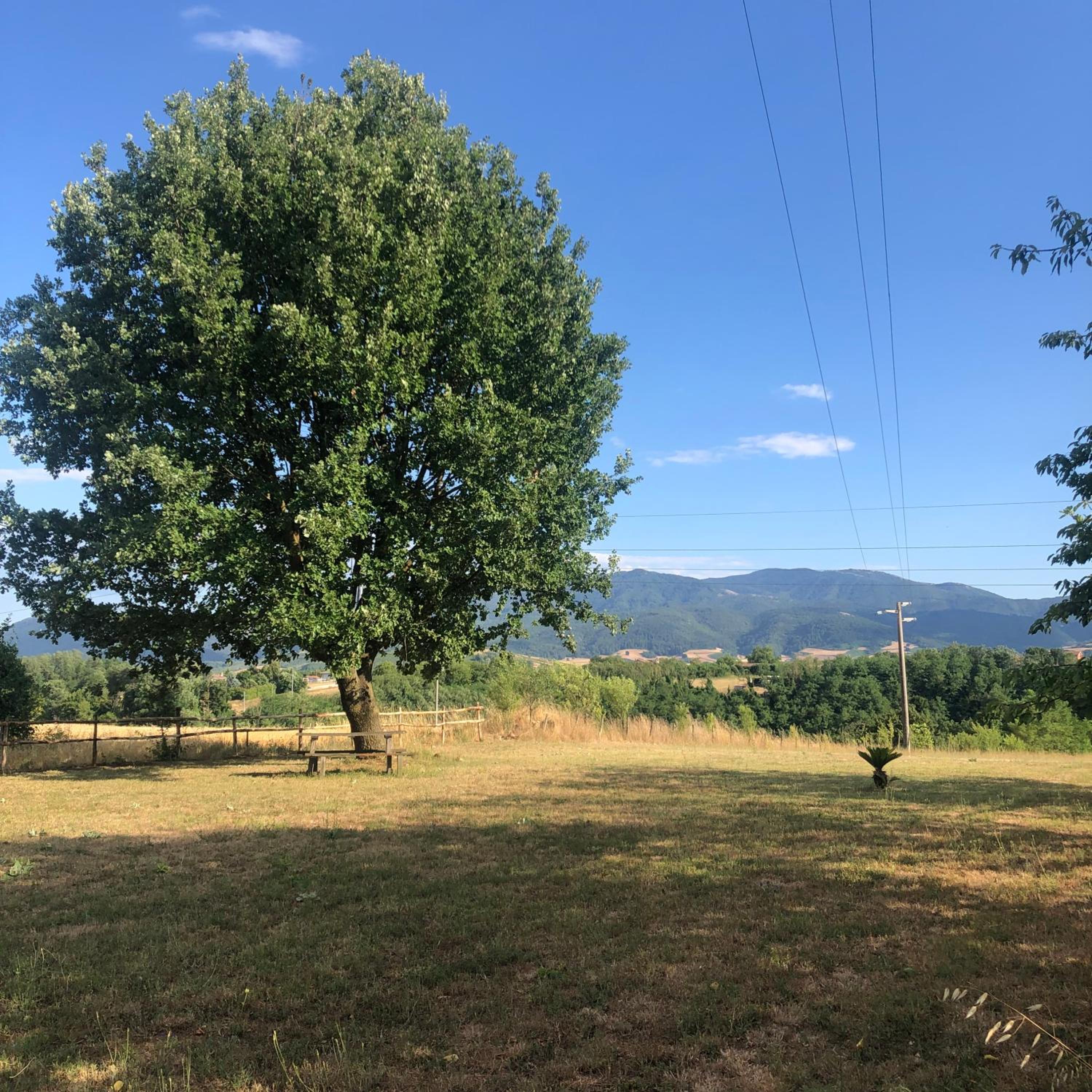 Dreams Valley