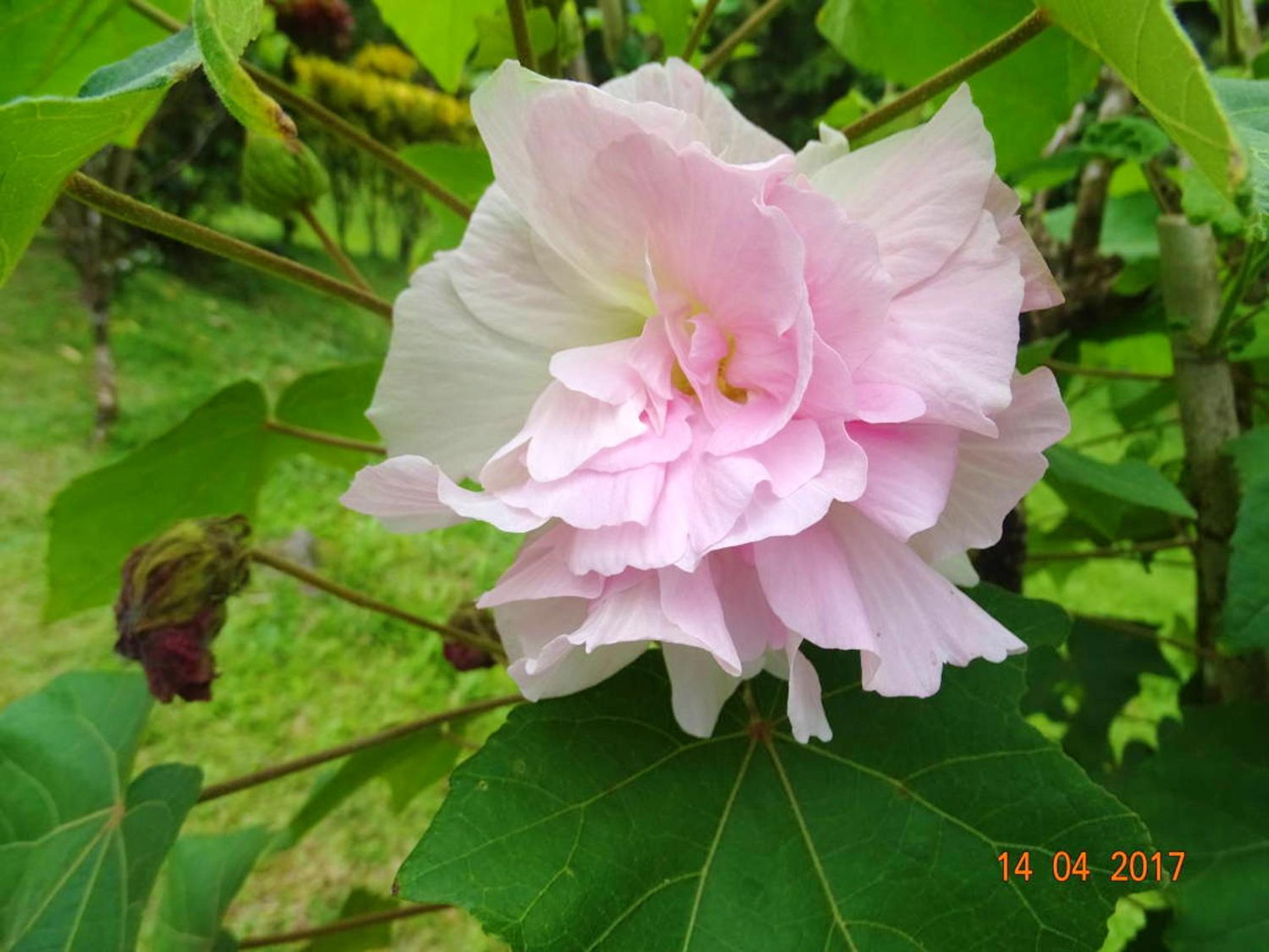 Photo 26