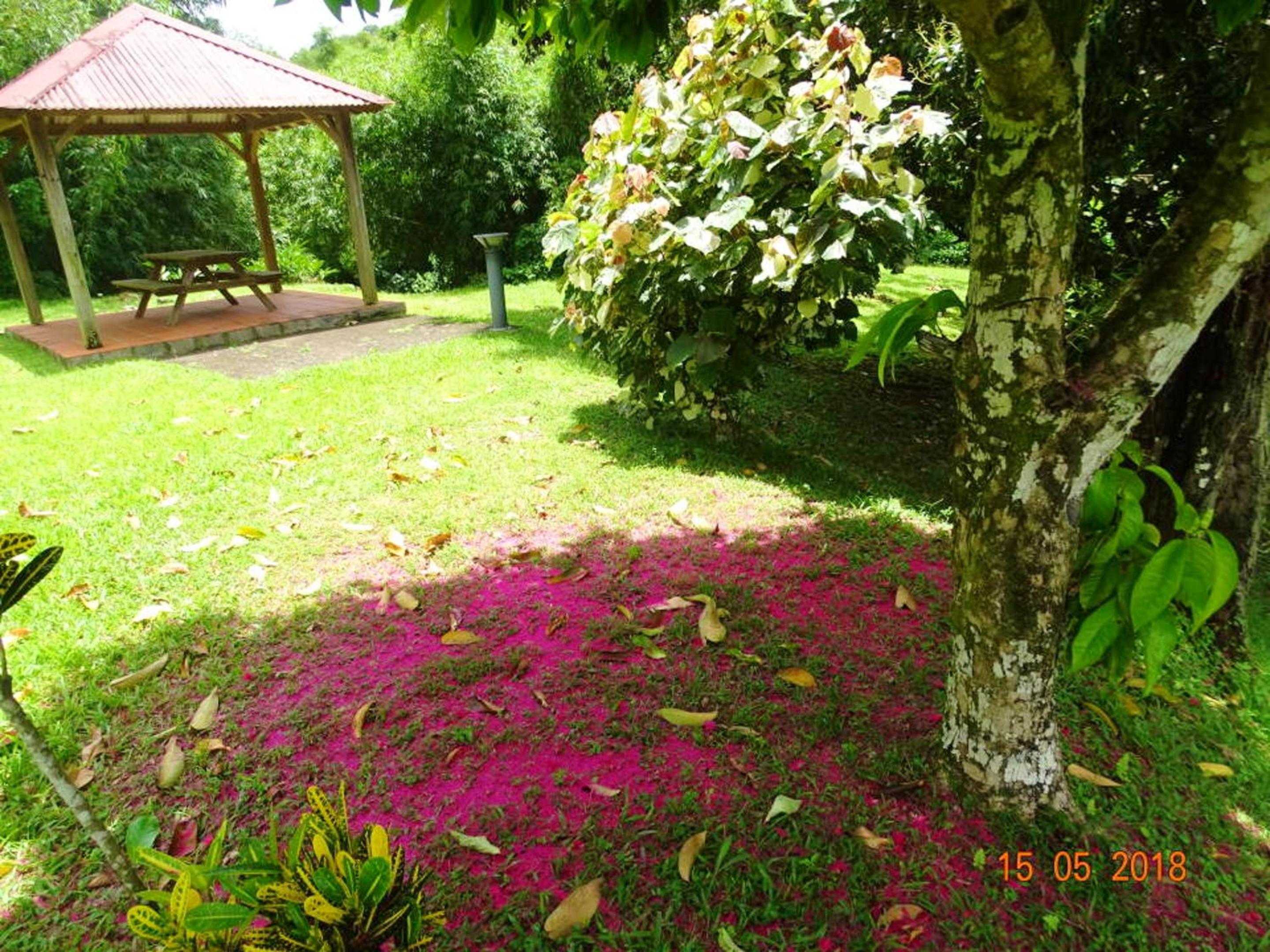Photo 35