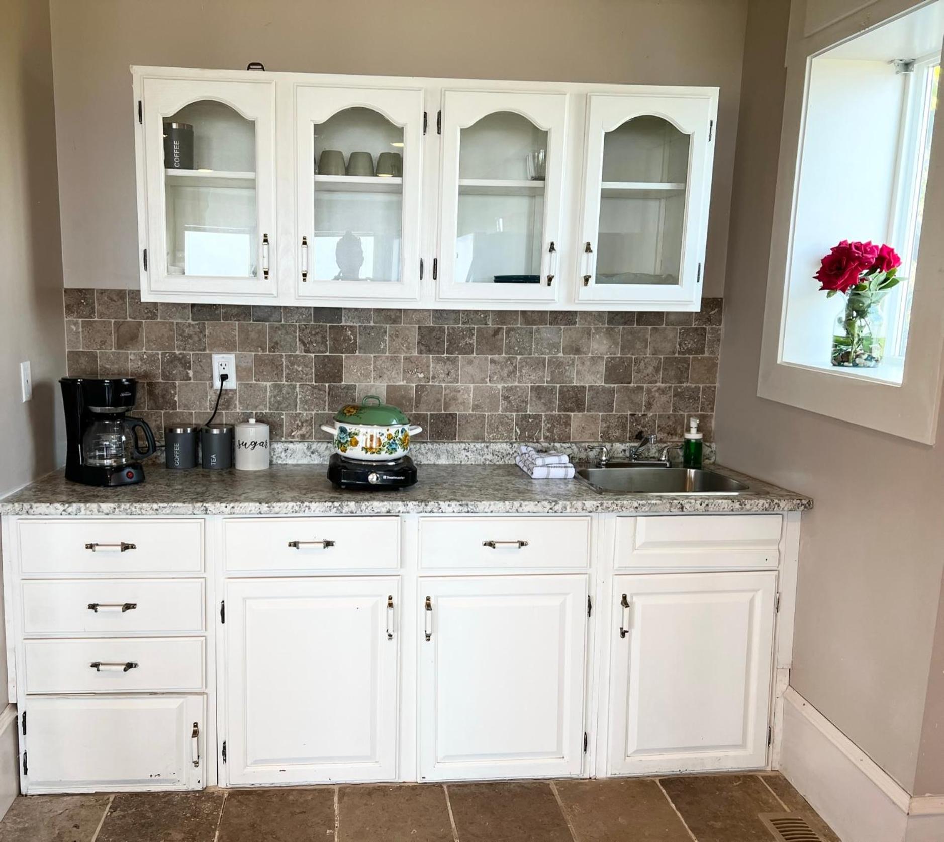 Executive pet friendly lower suite with ocean view