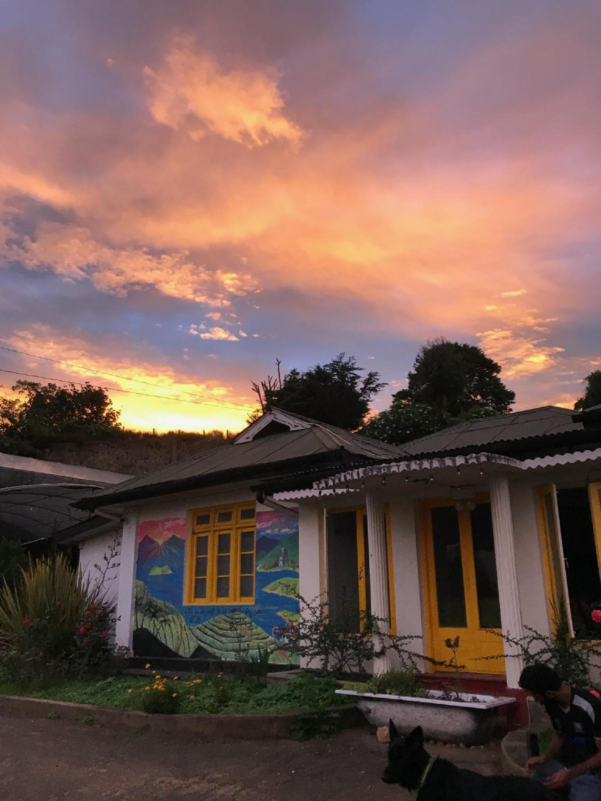Laughing Leopard Hostel view 4