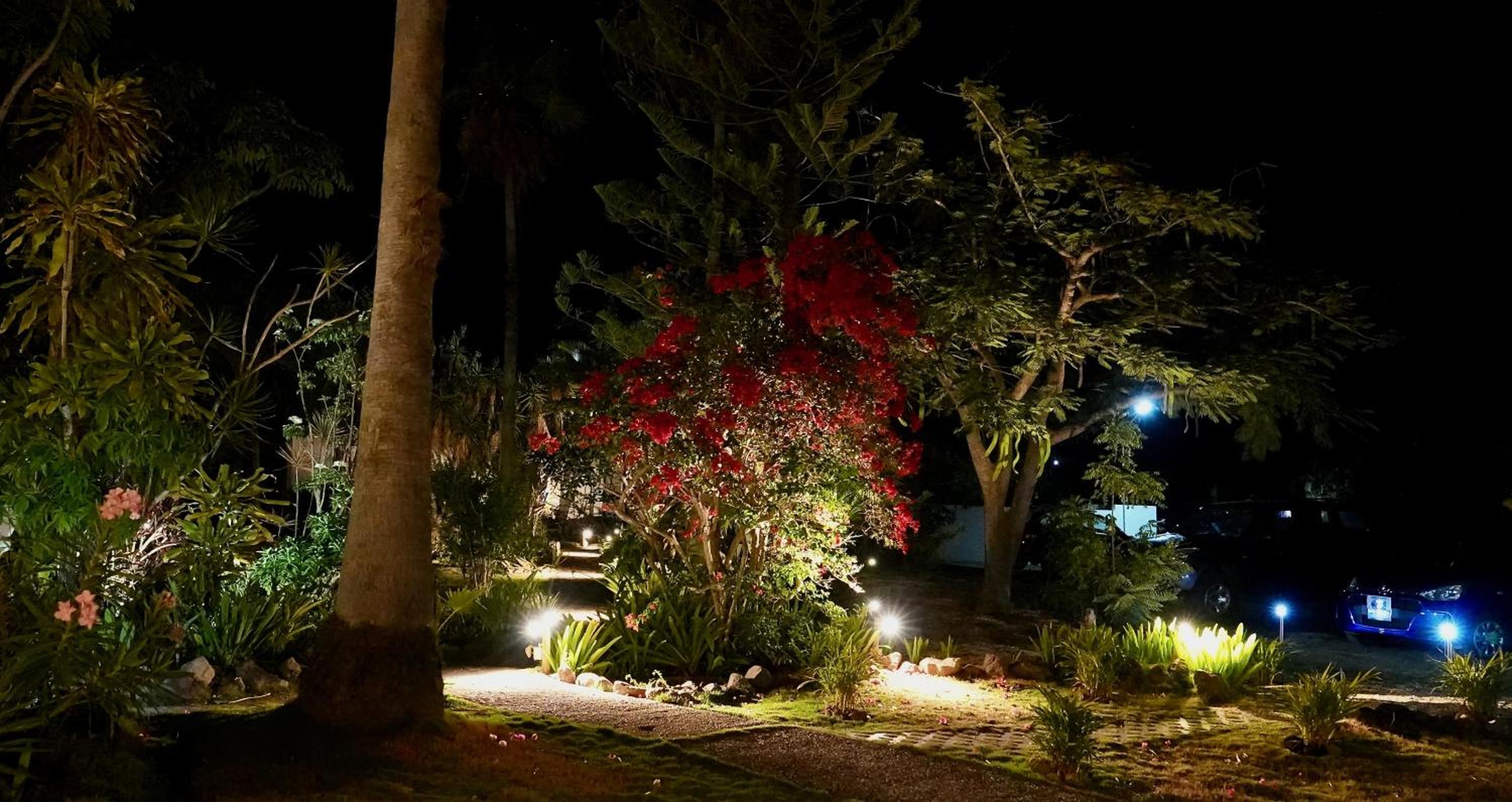 Quill Gardens Boutique Hotel - Property Image 7