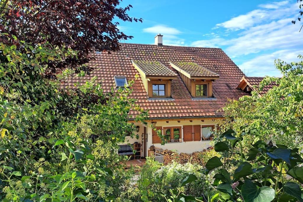 Gemütliche Waldrandlage in Badenweiler Sehringen Ferienwohnung