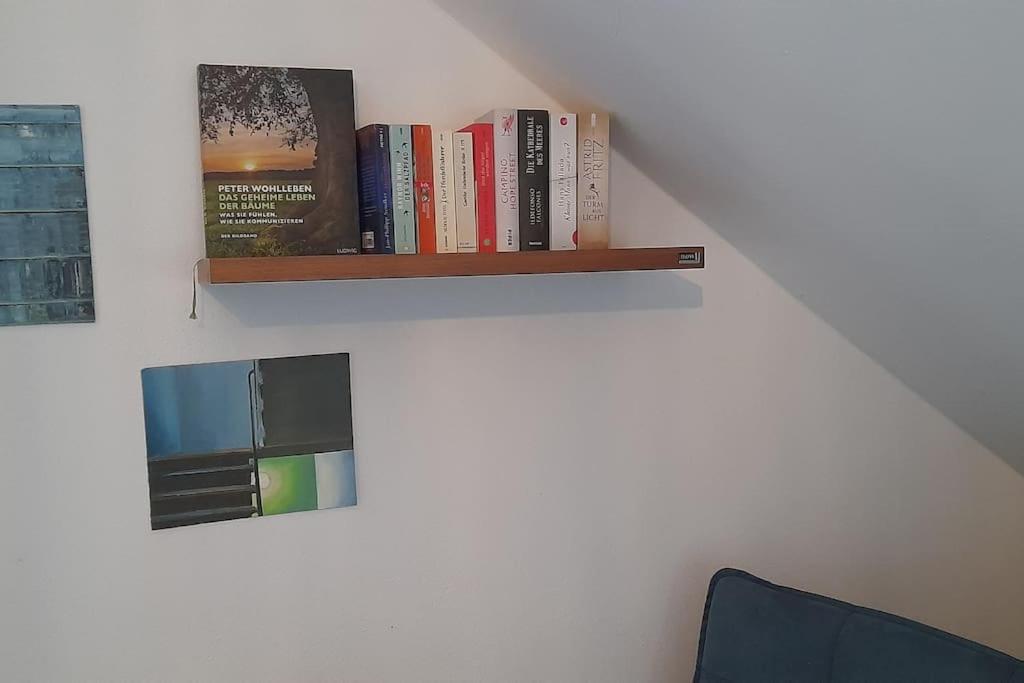 Gemütliche Waldrandlage in Badenweiler Sehringen Ferienwohnung