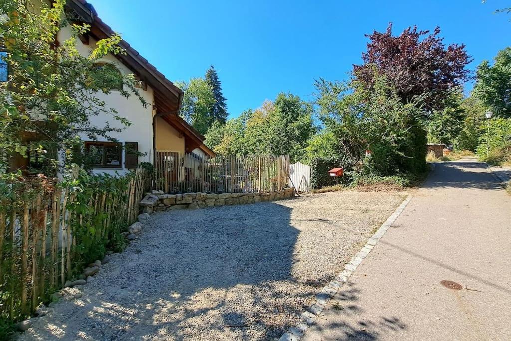Gemütliche Waldrandlage in Badenweiler Sehringen Ferienwohnung