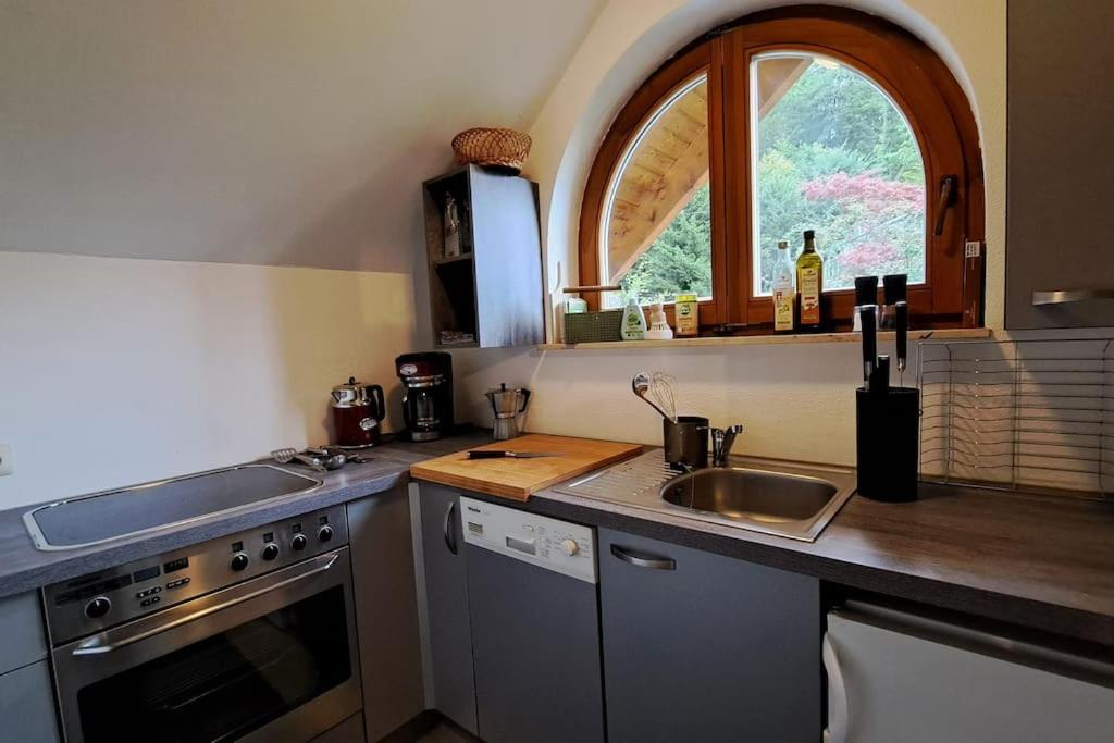 Gemütliche Waldrandlage in Badenweiler Sehringen Ferienwohnung