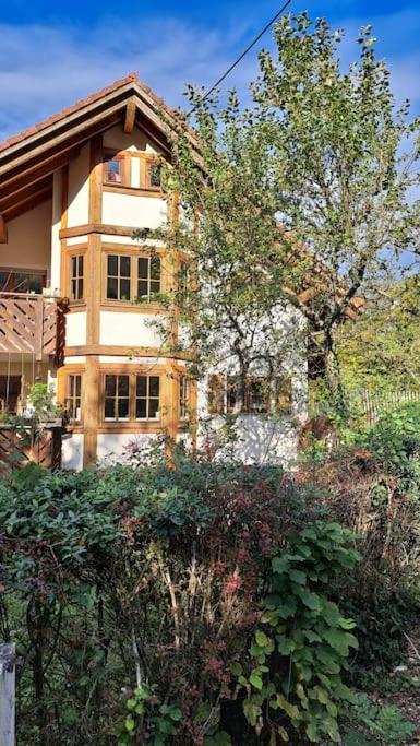 Gemütliche Waldrandlage in Badenweiler Sehringen Ferienwohnung
