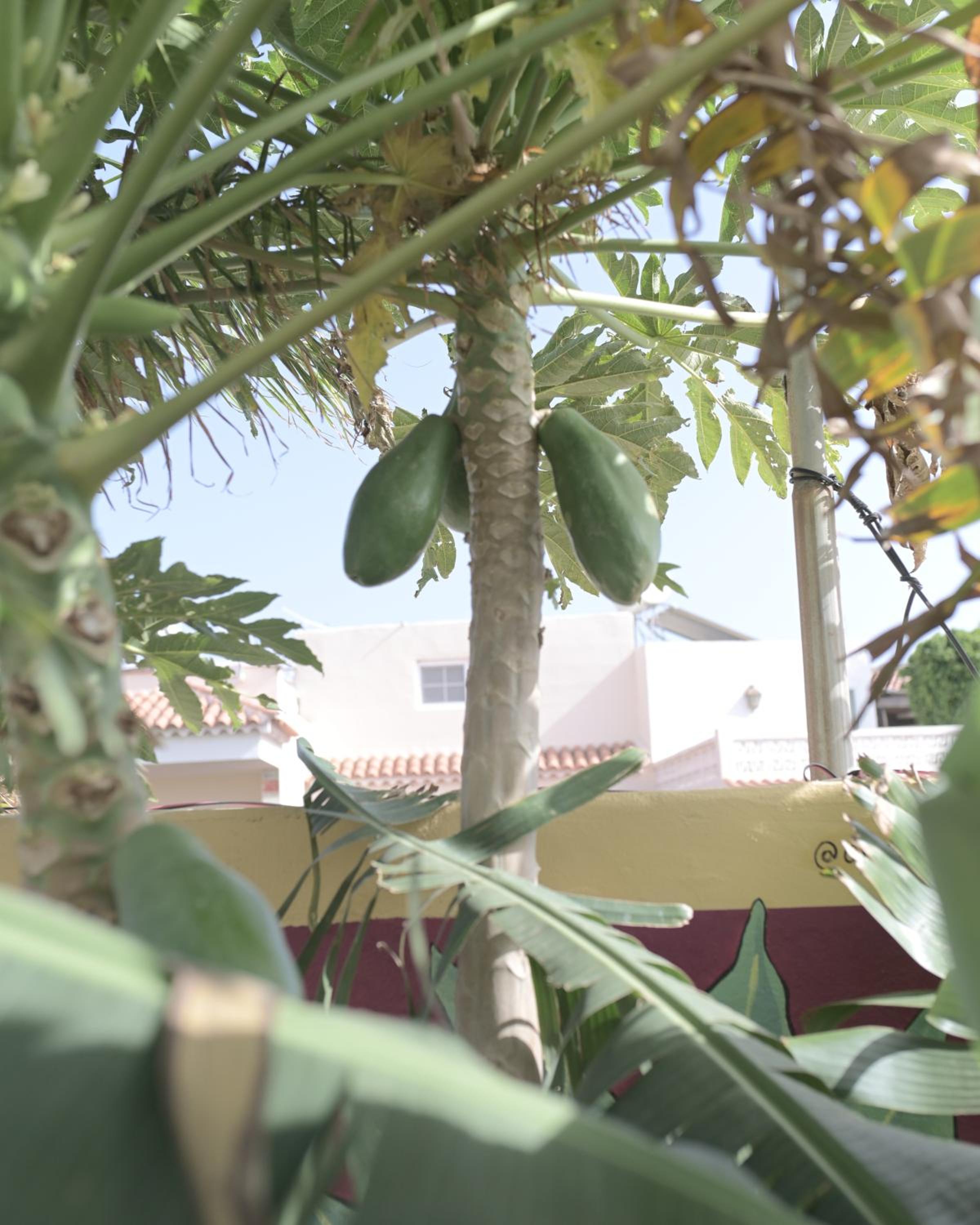 Los Amigos Nest Hostel